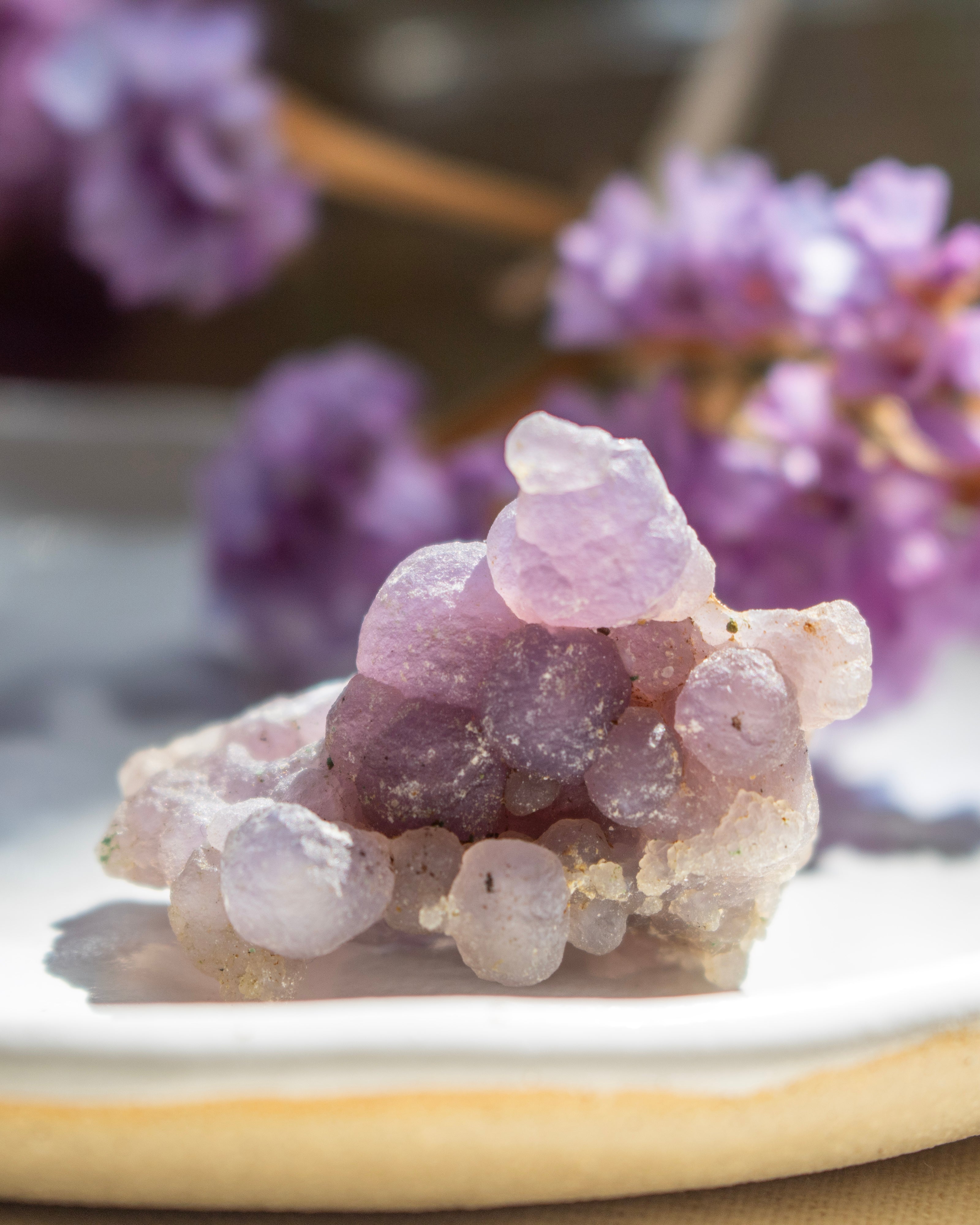 Purple crystal cluster on a white surface with blurred purple flowers in the background
