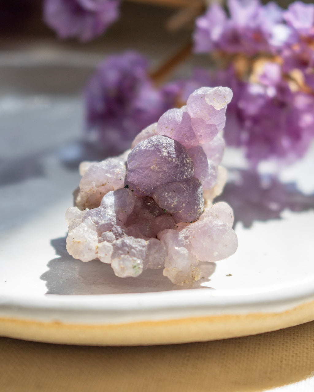 Purple crystal cluster on a white plate with blurred purple flowers in the background