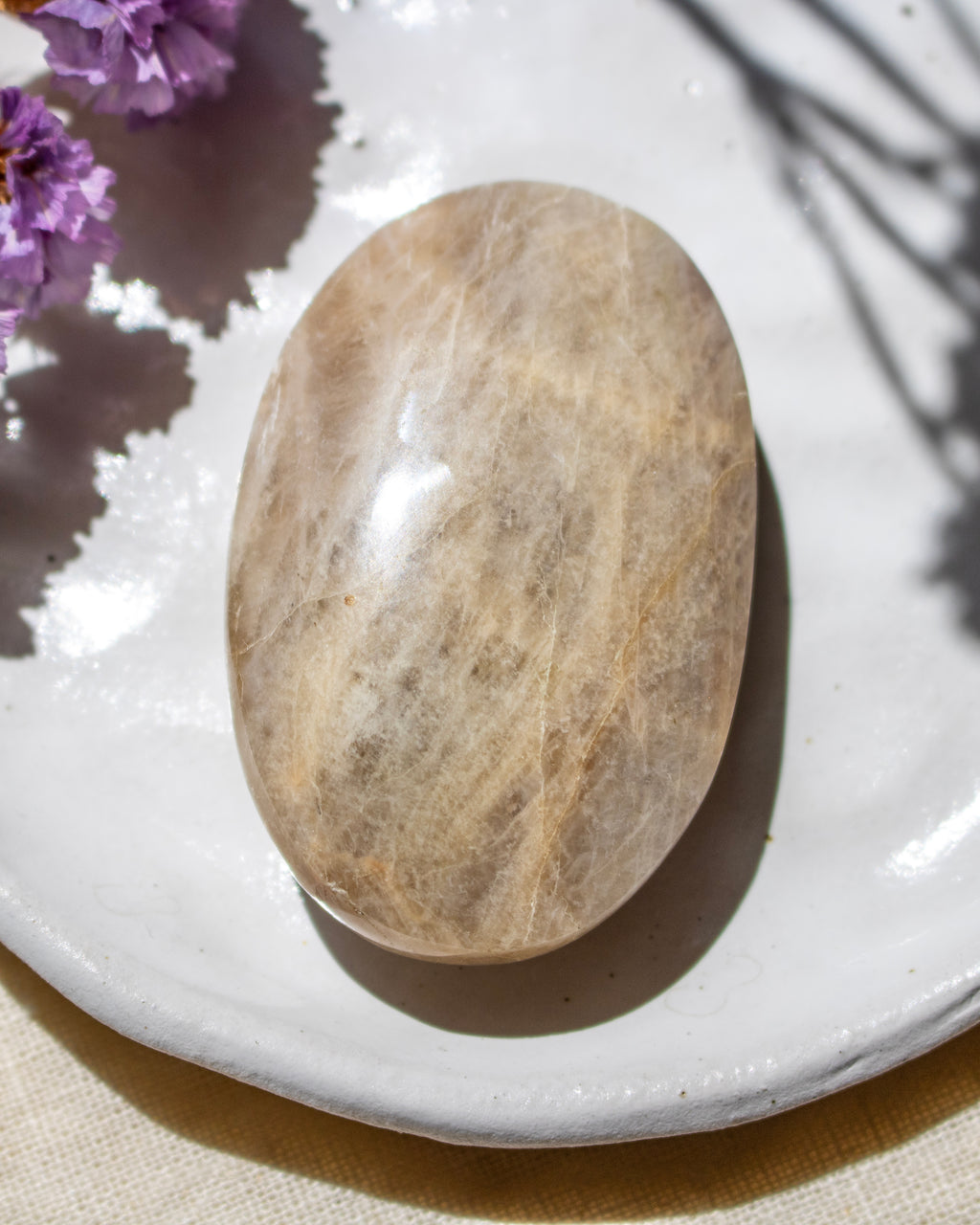A polished oval stone with natural beige and light brown marbling, resting on a white ceramic plate with soft shadows and purple flowers in the corner.