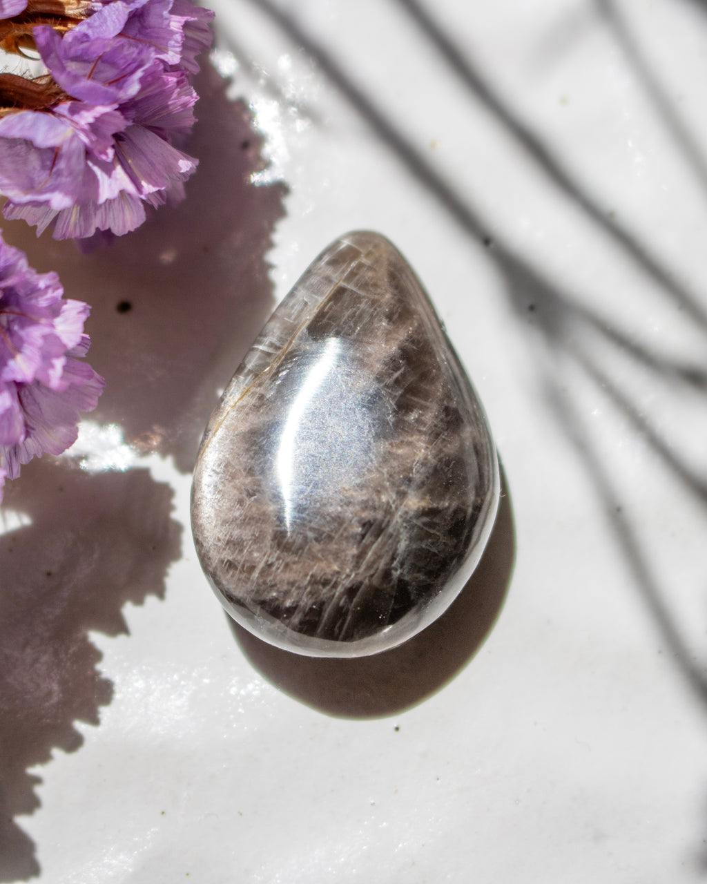 A polished teardrop-shaped tumbled stone with natural brown and gray veining, resting on a white surface with purple flowers and leaf shadows nearby.