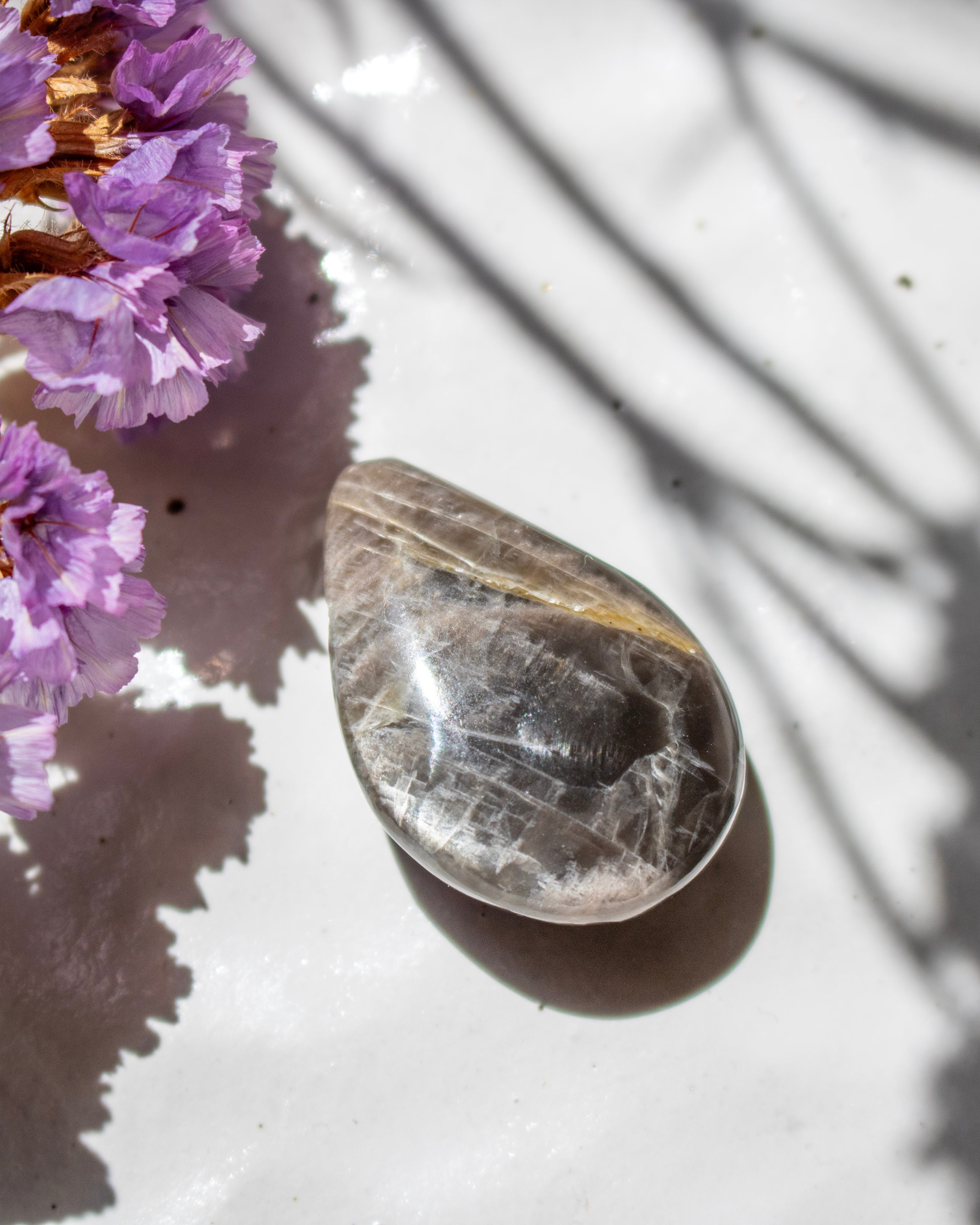 A polished teardrop-shaped clear quartz crystal with natural inclusions, resting on a white textured surface with purple flowers and palm leaf shadows.