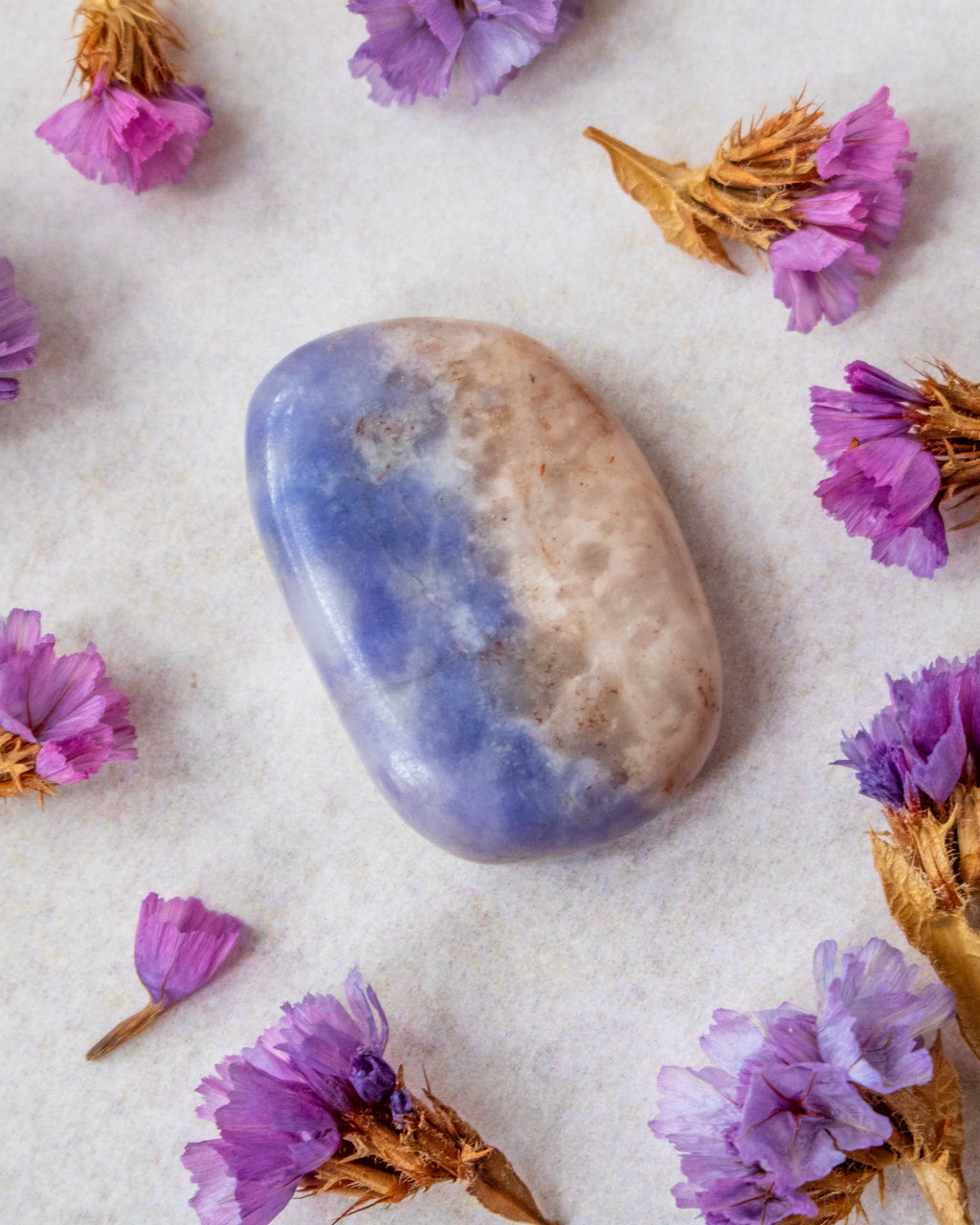 A polished tumbled stone with a split blue and beige coloration, surrounded by small dried purple flowers on a textured off-white background.