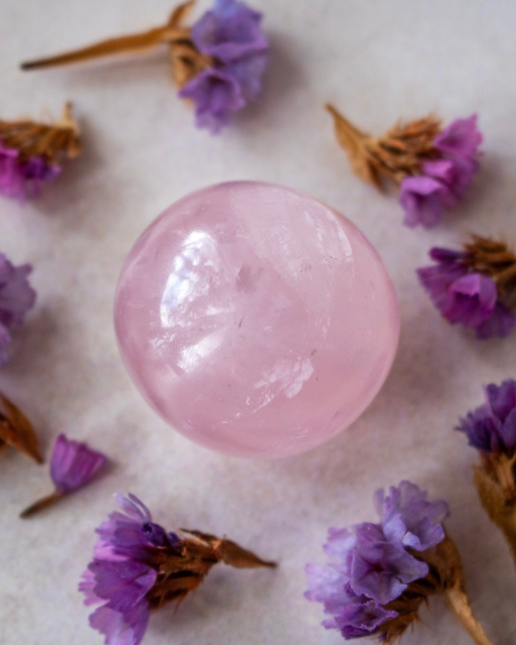 a round pink rose quartz polished crystal surrounded by purple dried flowers on a off-white background