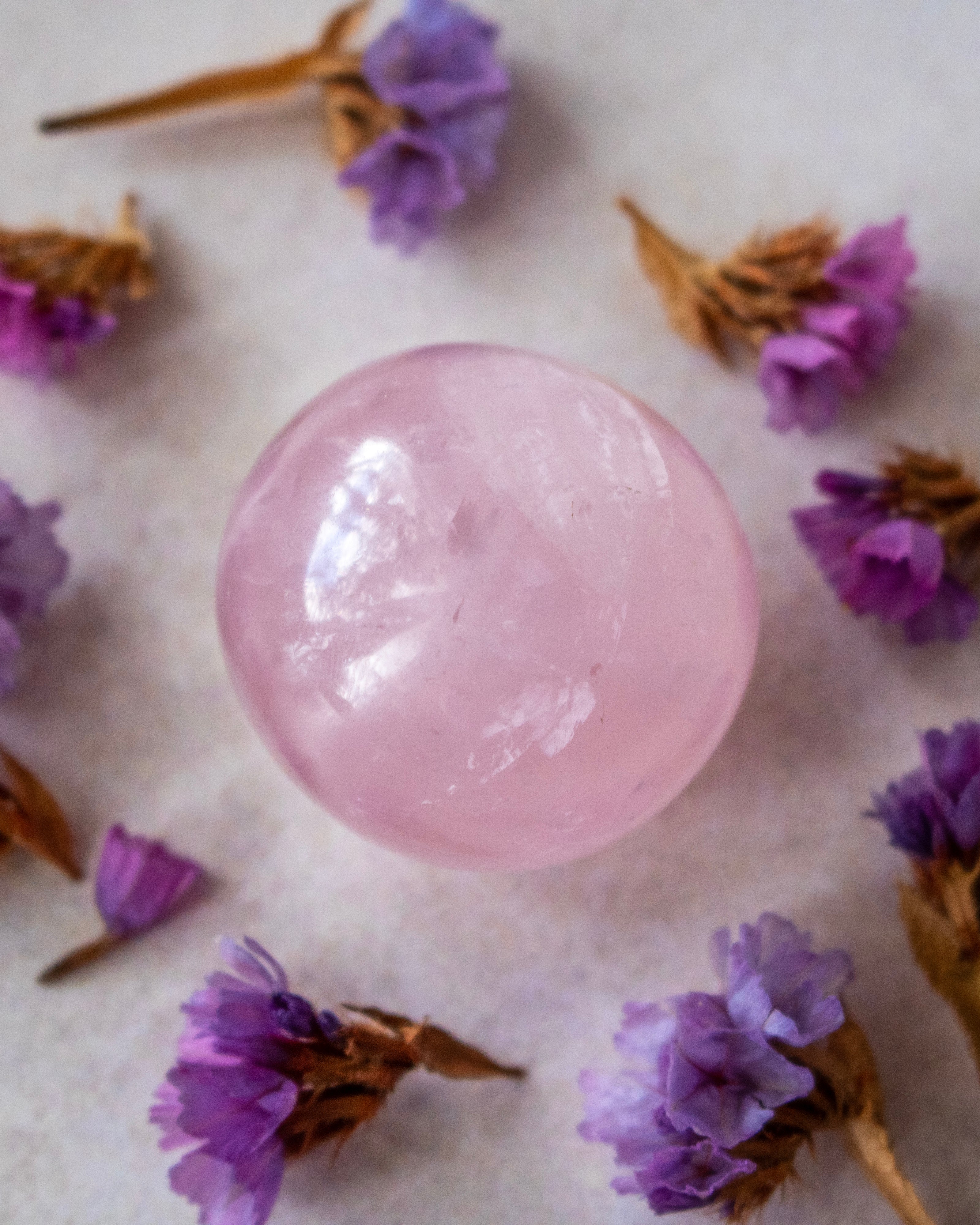 a round pink rose quartz polished crystal surrounded by purple dried flowers on a off-white background