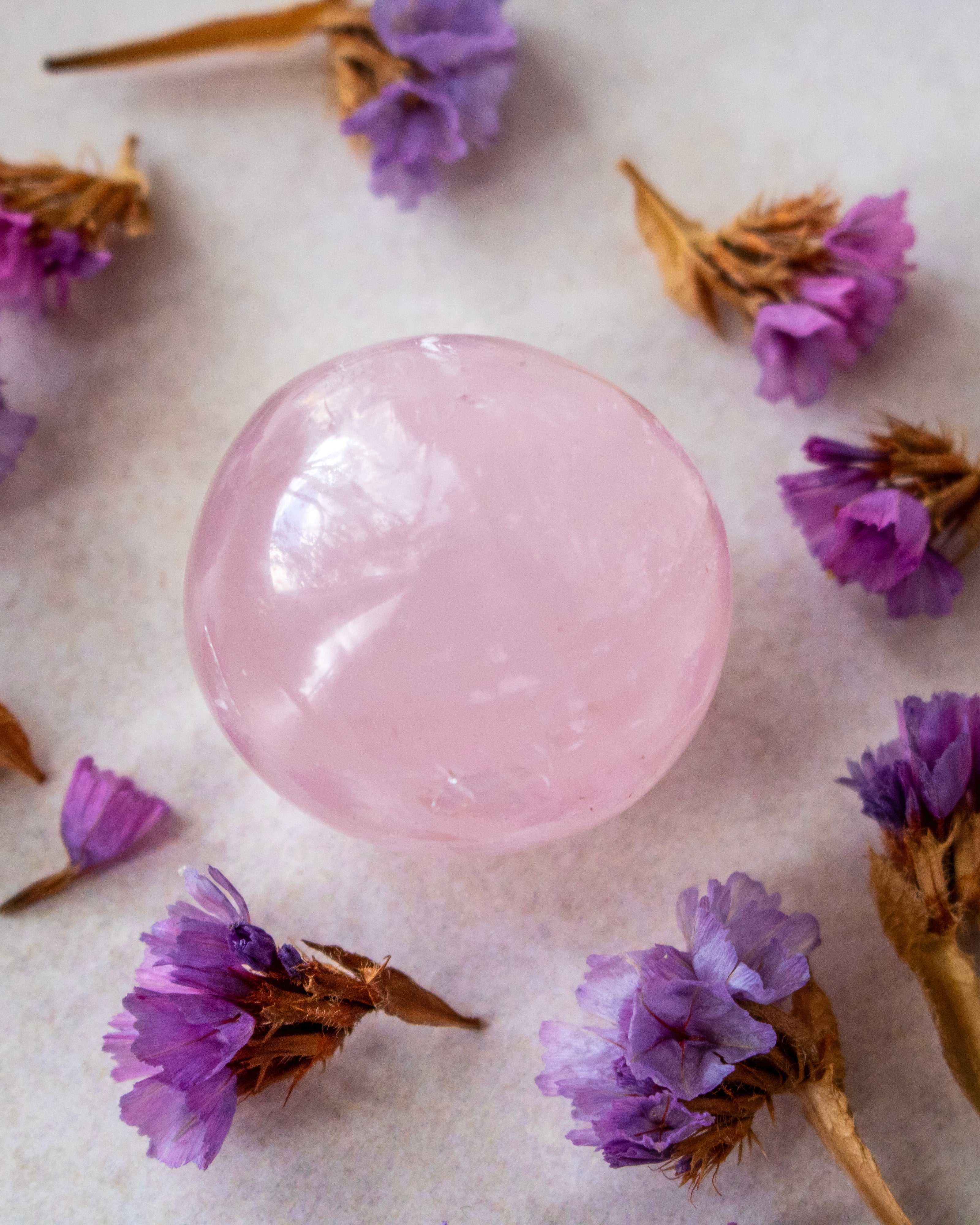 a round pink rose quartz polished crystal surrounded by purple dried flowers on a off-white background