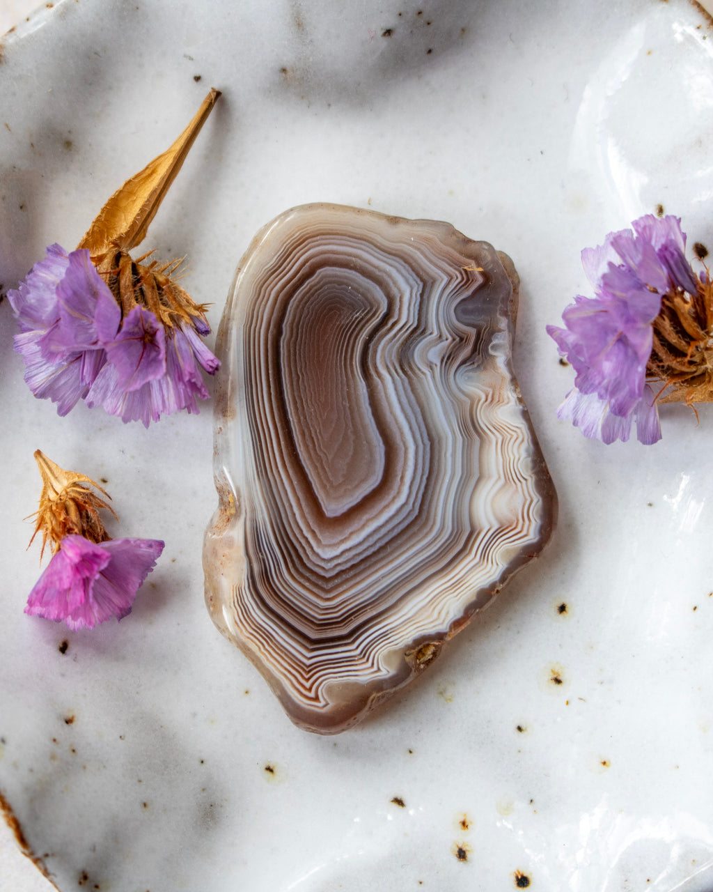 A polished agate slice with concentric banding in beige, brown, and gray tones, styled on a white marble surface with dried flowers.