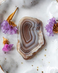 A polished agate slice with concentric banding in beige, brown, and gray tones, styled on a white marble surface with dried flowers.