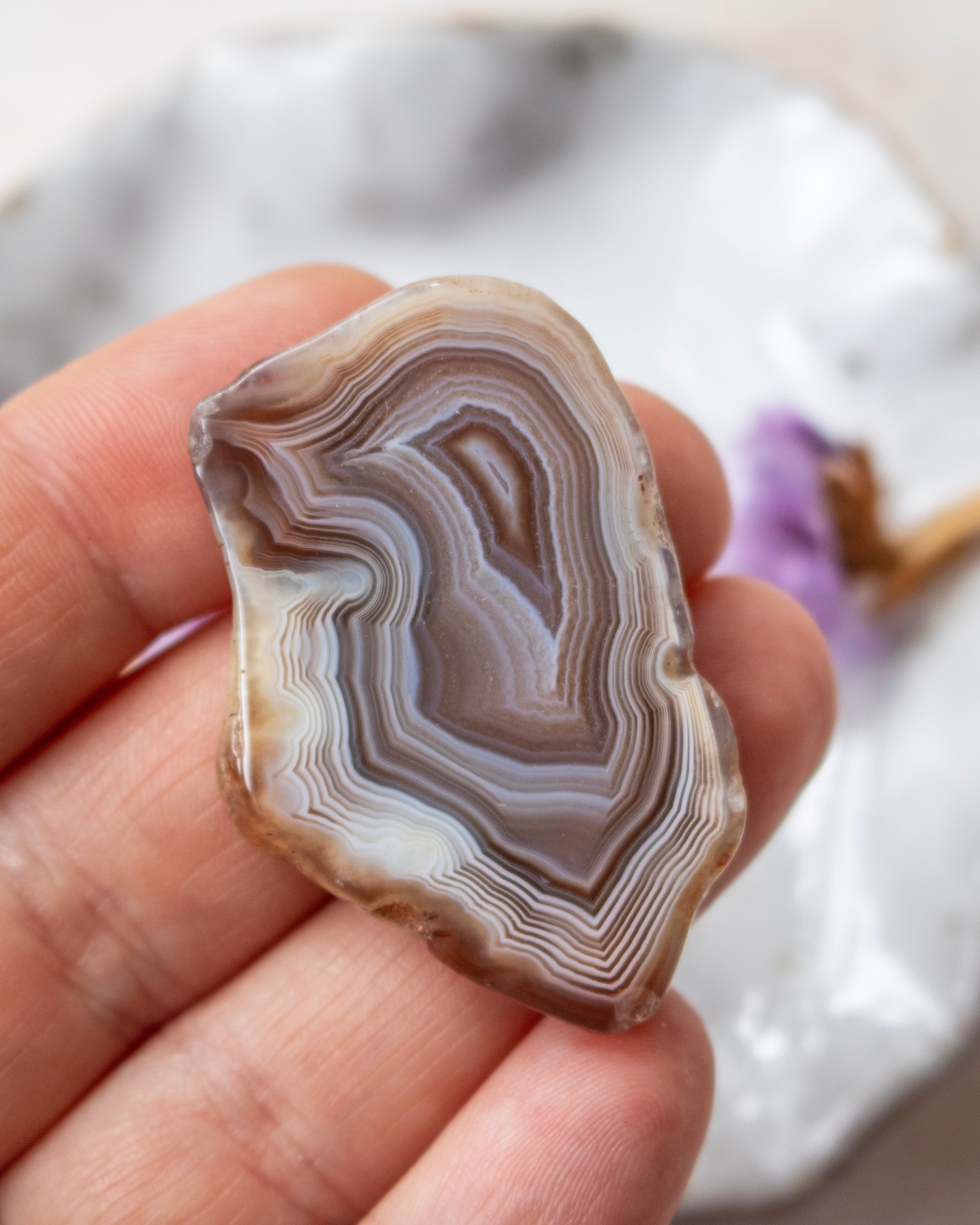 A hand holding a polished slice of agate stone with concentric banding in shades of brown, beige, gray, and white, against a softly blurred white surface.