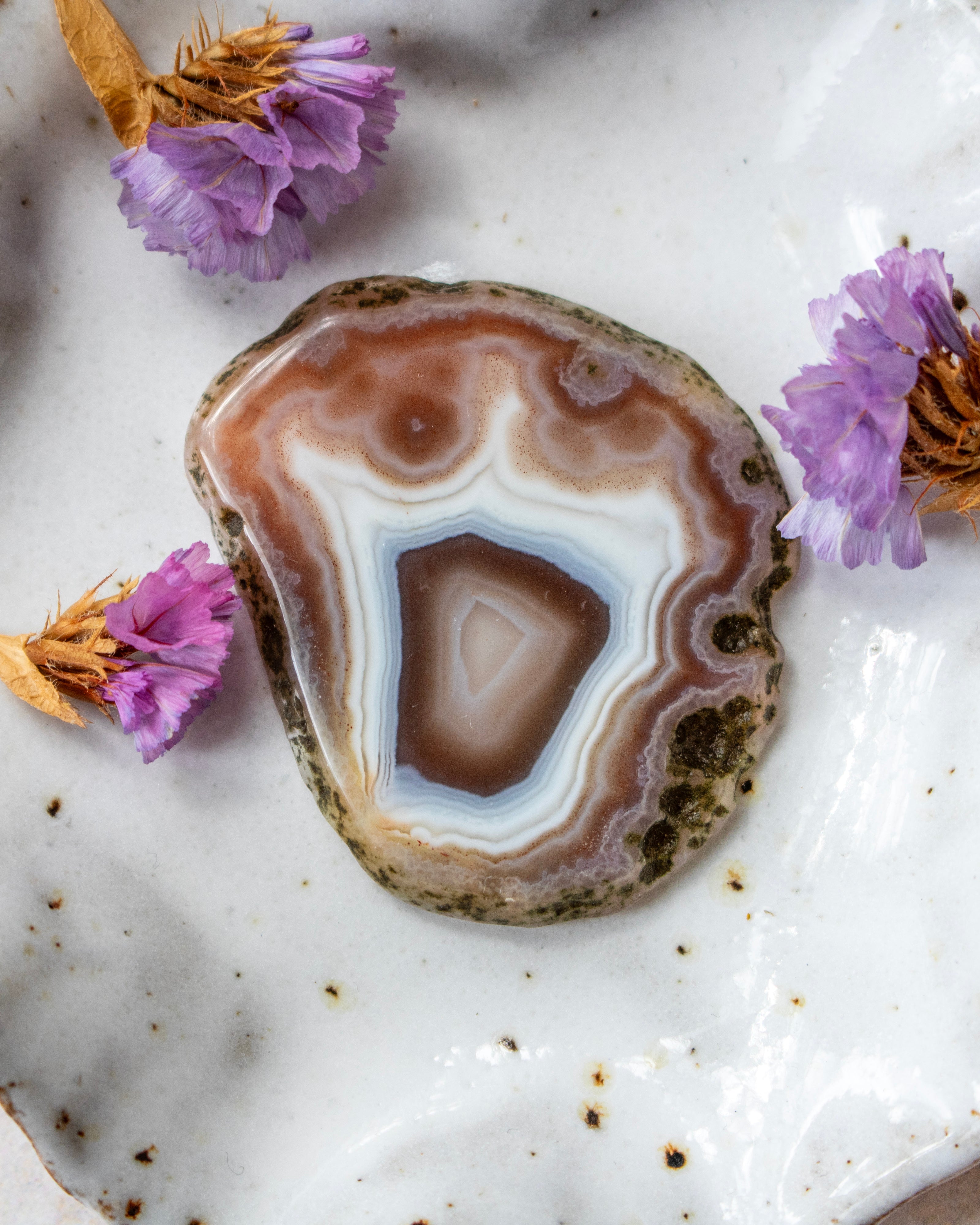 A polished agate stone slice with concentric bands of brown, cream, white, and pale blue, styled on a white ceramic plate with small purple flowers.