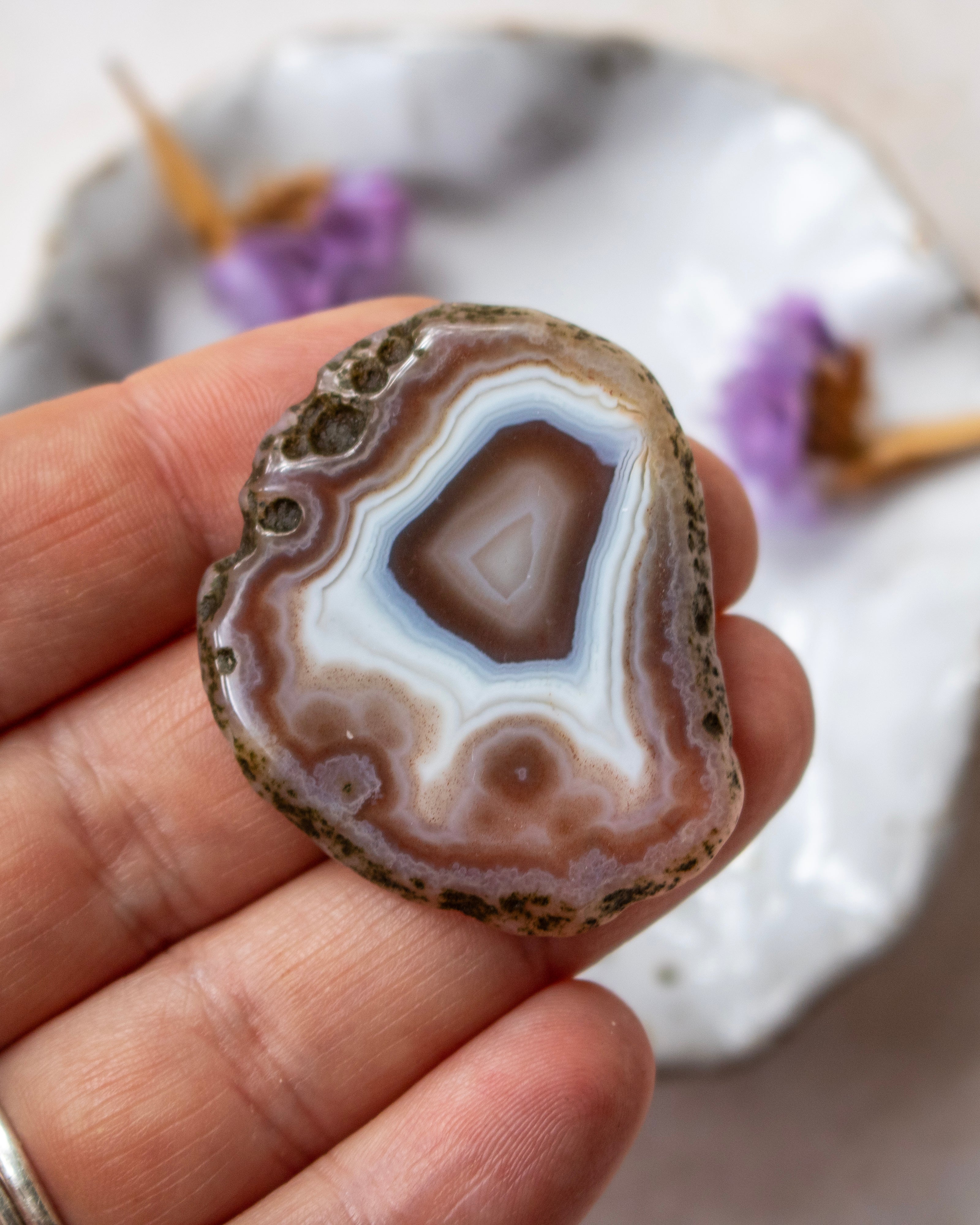 A hand holding a polished slice of agate stone with concentric bands of brown, beige, white, and light blue, with a blurred decorative plate in the background.