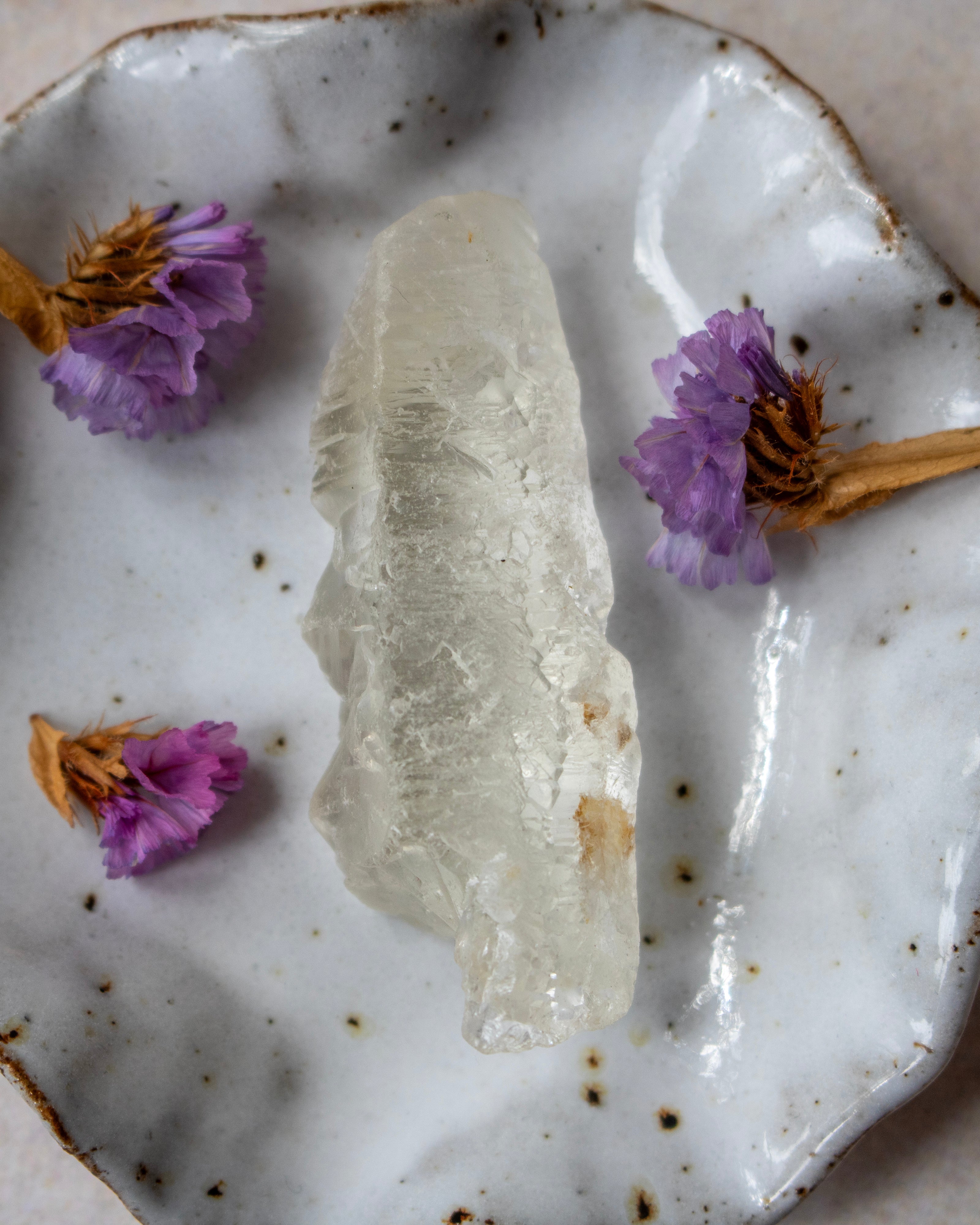 A raw, translucent pale crystal or mineral specimen displayed on a white speckled ceramic plate with dried purple flowers around it.