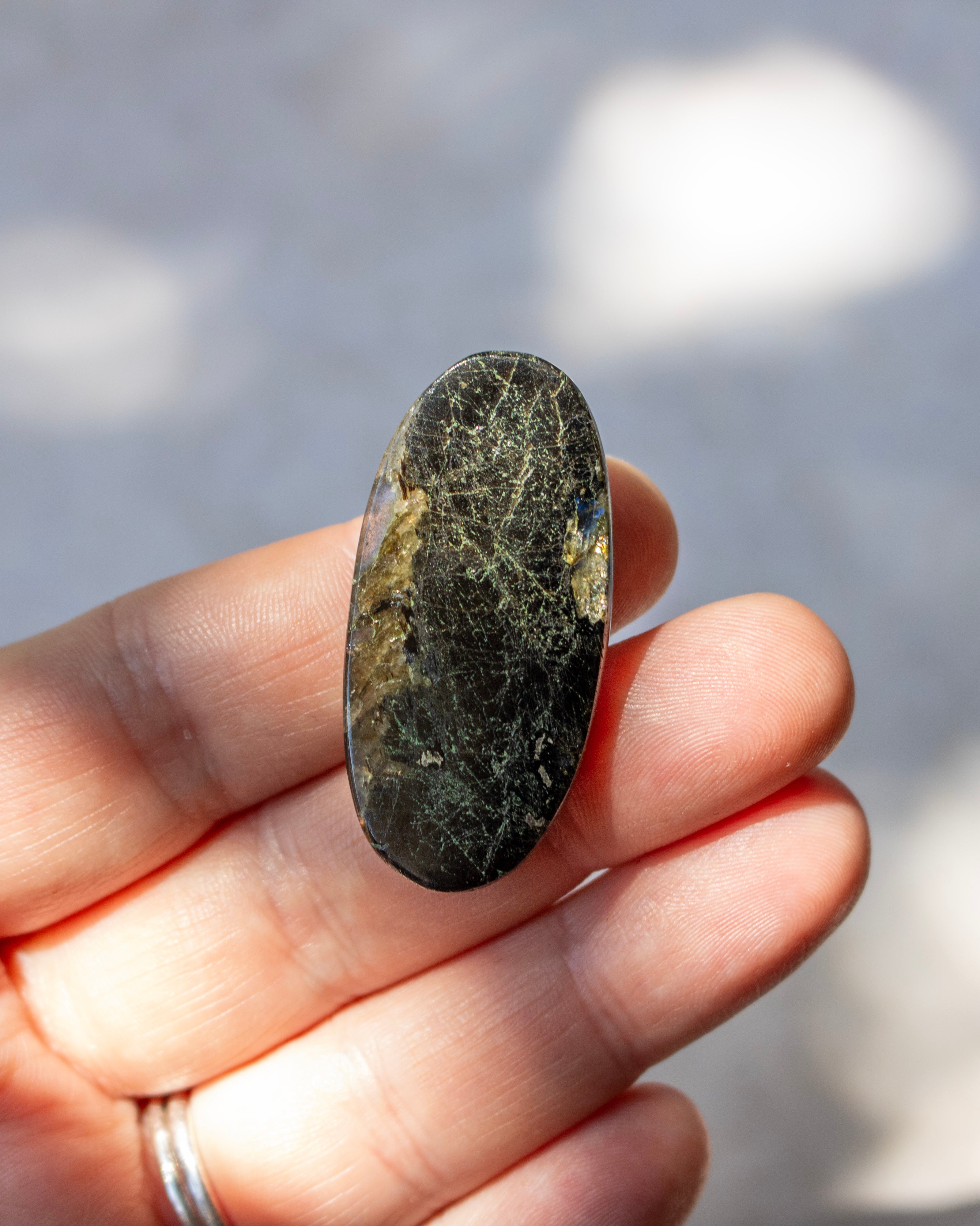 A hand holding a polished oval gemstone with a dark olive-green and black marbled pattern and fine golden needles, set against a soft, out-of-focus gray background.