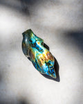 A polished labradorite stone cabochon with vibrant blue, green, gold, and brown iridescent flashes, displayed on a textured light gray surface under natural dappled sunlight.