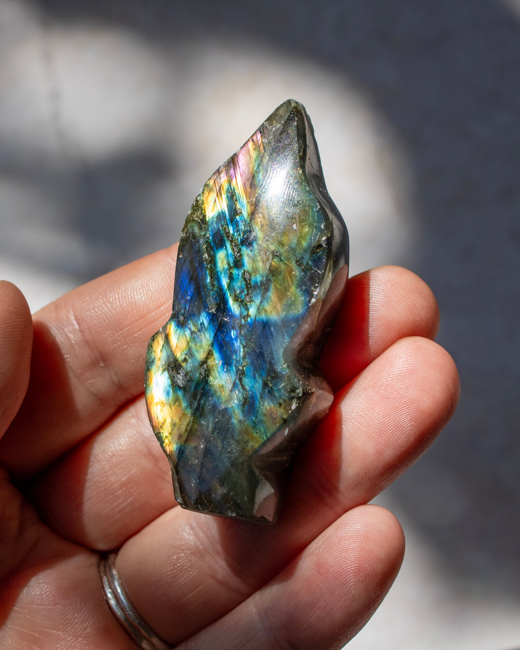 A hand holding a polished labradorite crystal point, showcasing its characteristic iridescent blue, gold, and green flashes of light against a blurred outdoor background.