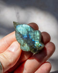 A hand holding a polished natural labradorite stone with a shimmering blue and green iridescent finish, set against a soft-focus outdoor background.