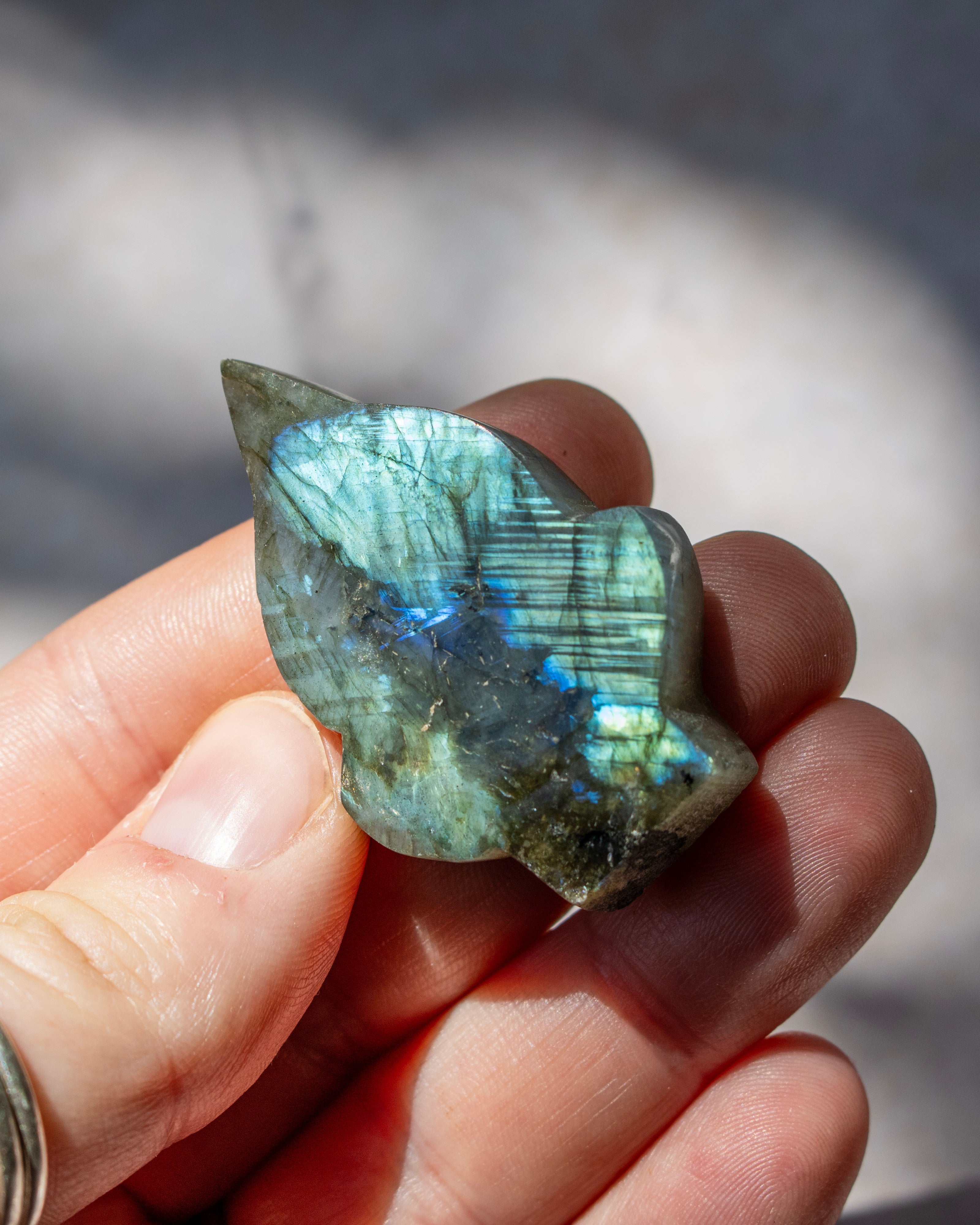 A hand holding a polished natural labradorite stone with a shimmering blue and green iridescent finish, set against a soft-focus outdoor background.