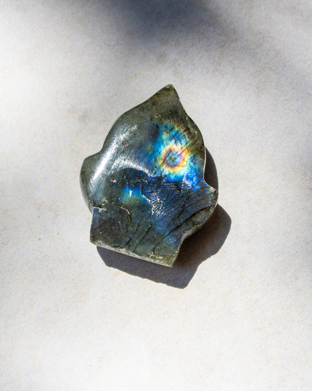 A polished natural labradorite stone with a vibrant play-of-color showing blue, green, yellow, and orange iridescence on a dark gray base, photographed on a light gray surface with a soft shadow.
