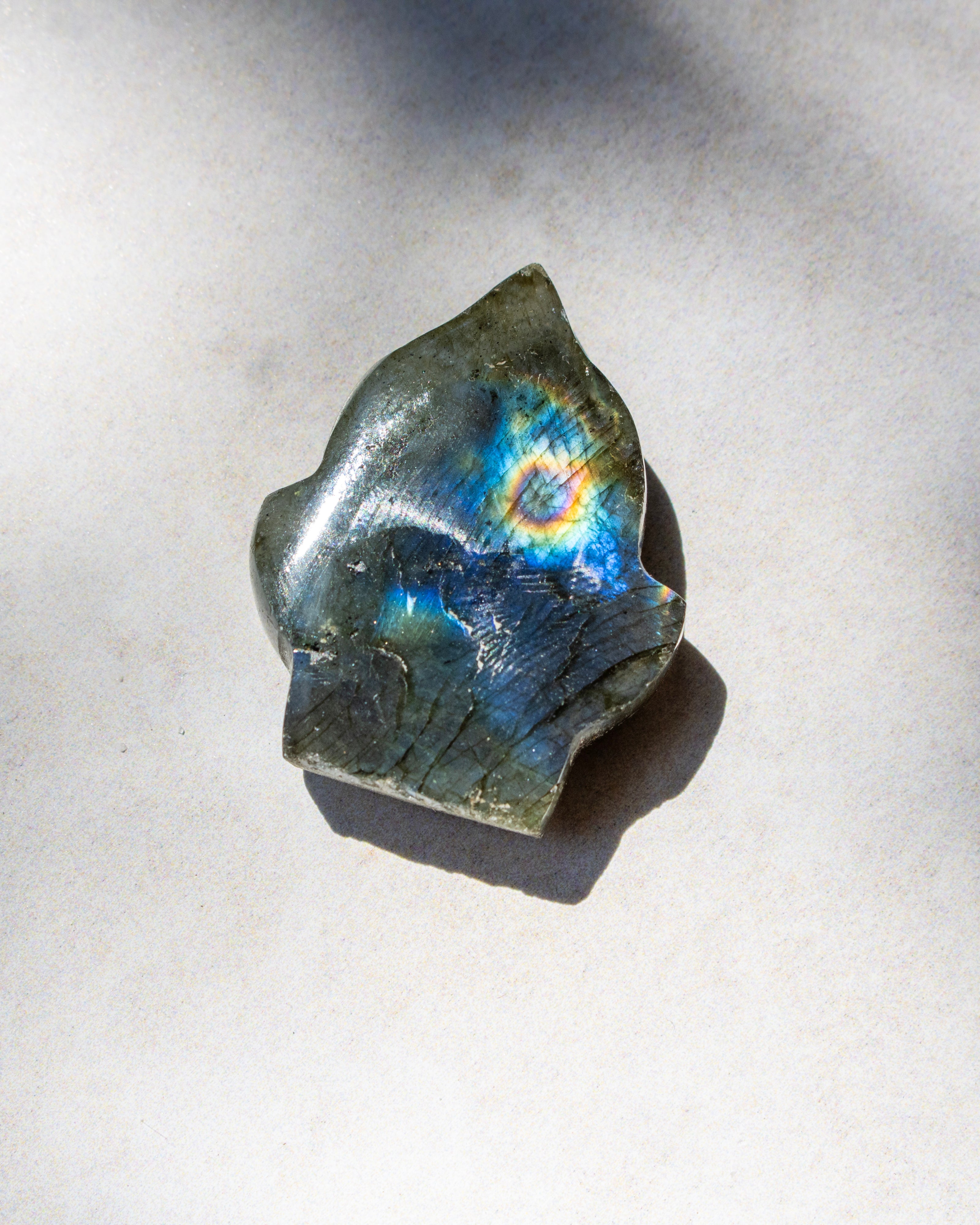 A polished natural labradorite stone with a vibrant play-of-color showing blue, green, yellow, and orange iridescence on a dark gray base, photographed on a light gray surface with a soft shadow.