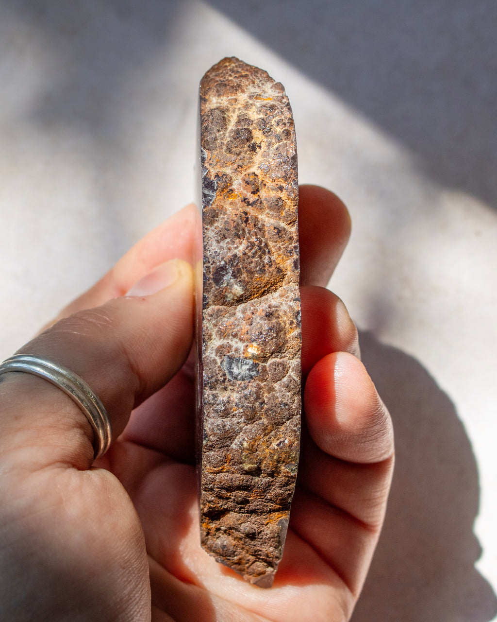 A hand holding a rough, vertically oriented brown and tan stone or mineral specimen in natural sunlight.