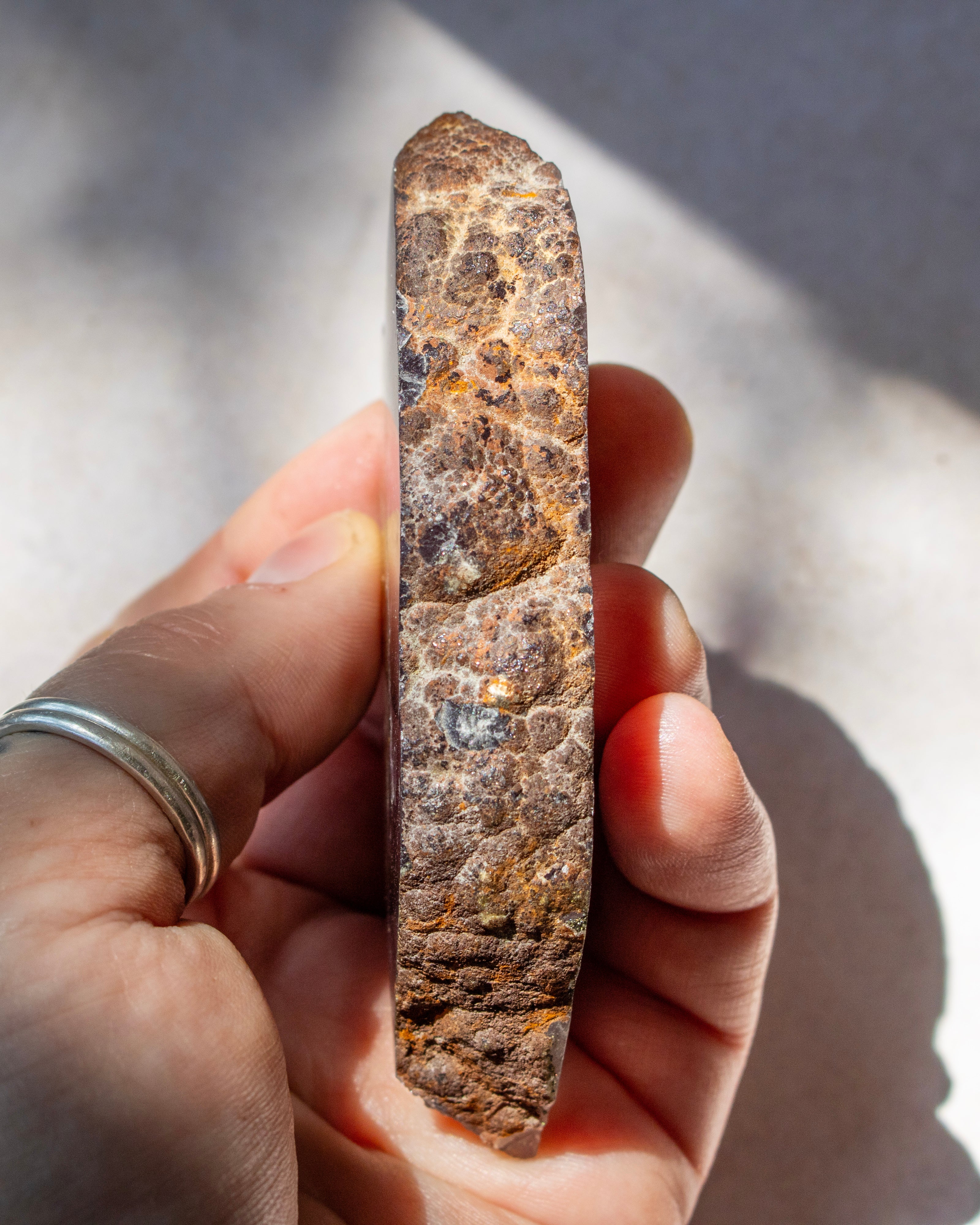 A hand holding a rough, vertically oriented brown and tan stone or mineral specimen in natural sunlight.