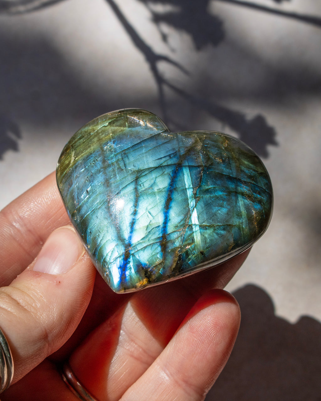 A heart-shaped polished labradorite stone held in a person's hand, showing shimmering blue, green, and gold flashes under natural sunlight with leaf shadows on a light background.