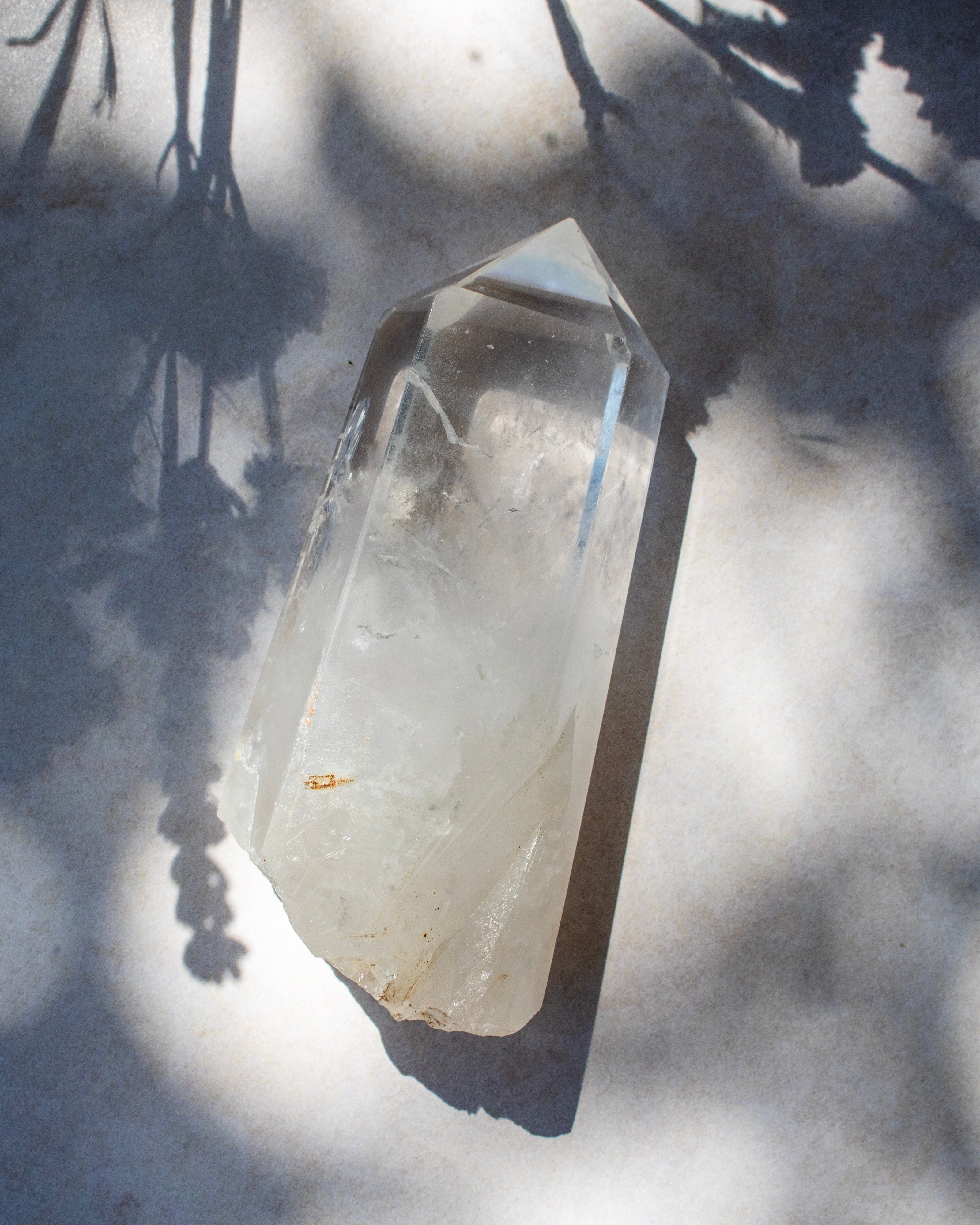 A natural clear quartz crystal point with rough, unfinished edges, resting on a gray concrete surface under dappled sunlight and leaf shadows.