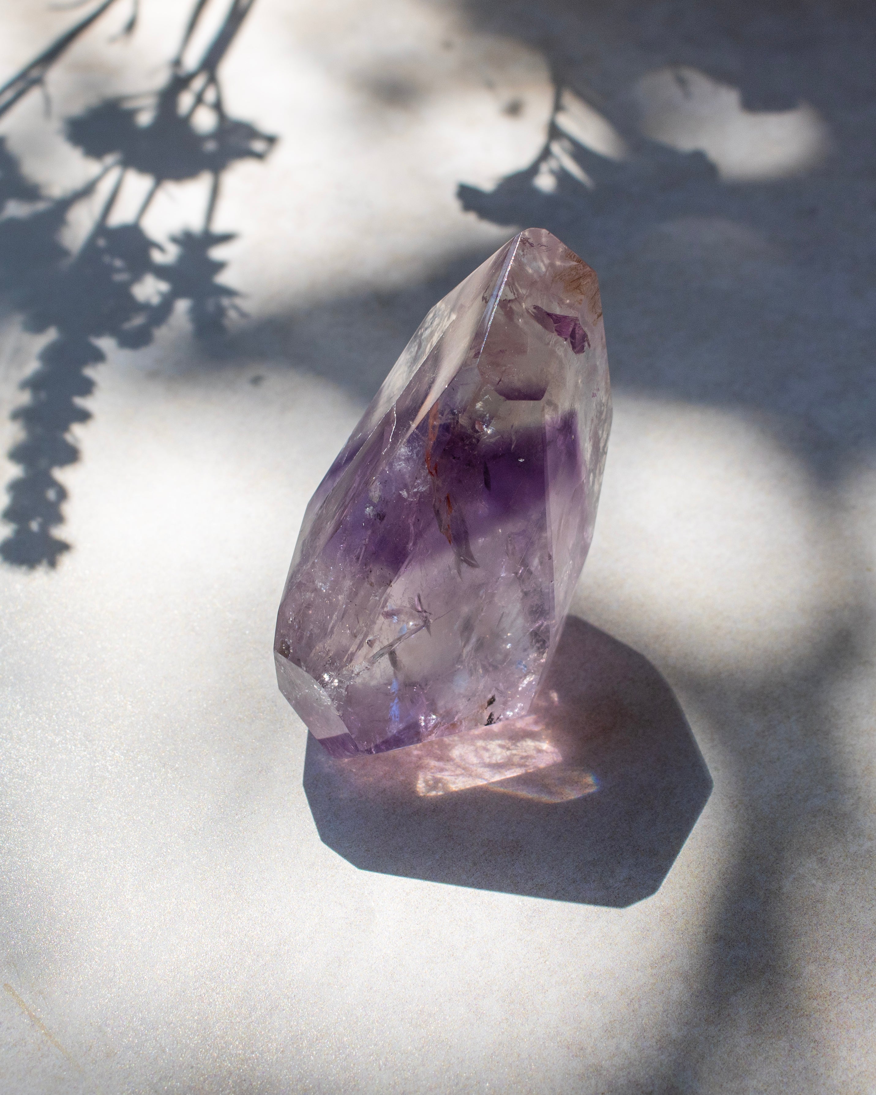 A natural amethyst crystal point with visible purple and white banding, standing on a light surface under dappled sunlight and leaf shadows.