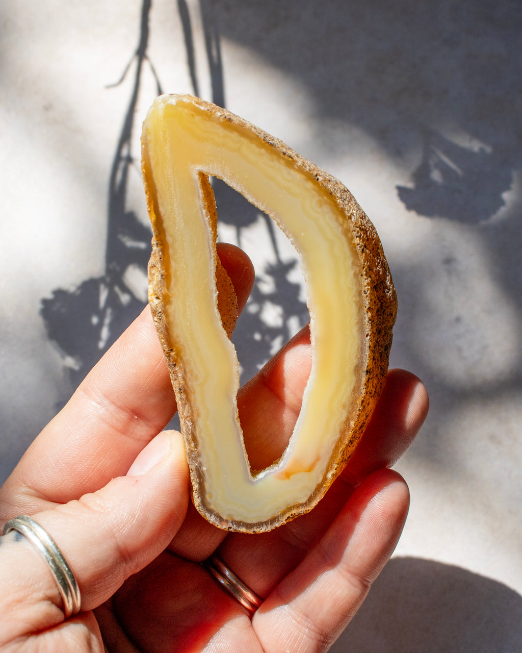A hand holding a polished natural agate slice with a creamy yellow interior and a textured brown outer rind, photographed in bright sunlight with leaf shadows on a light surface.