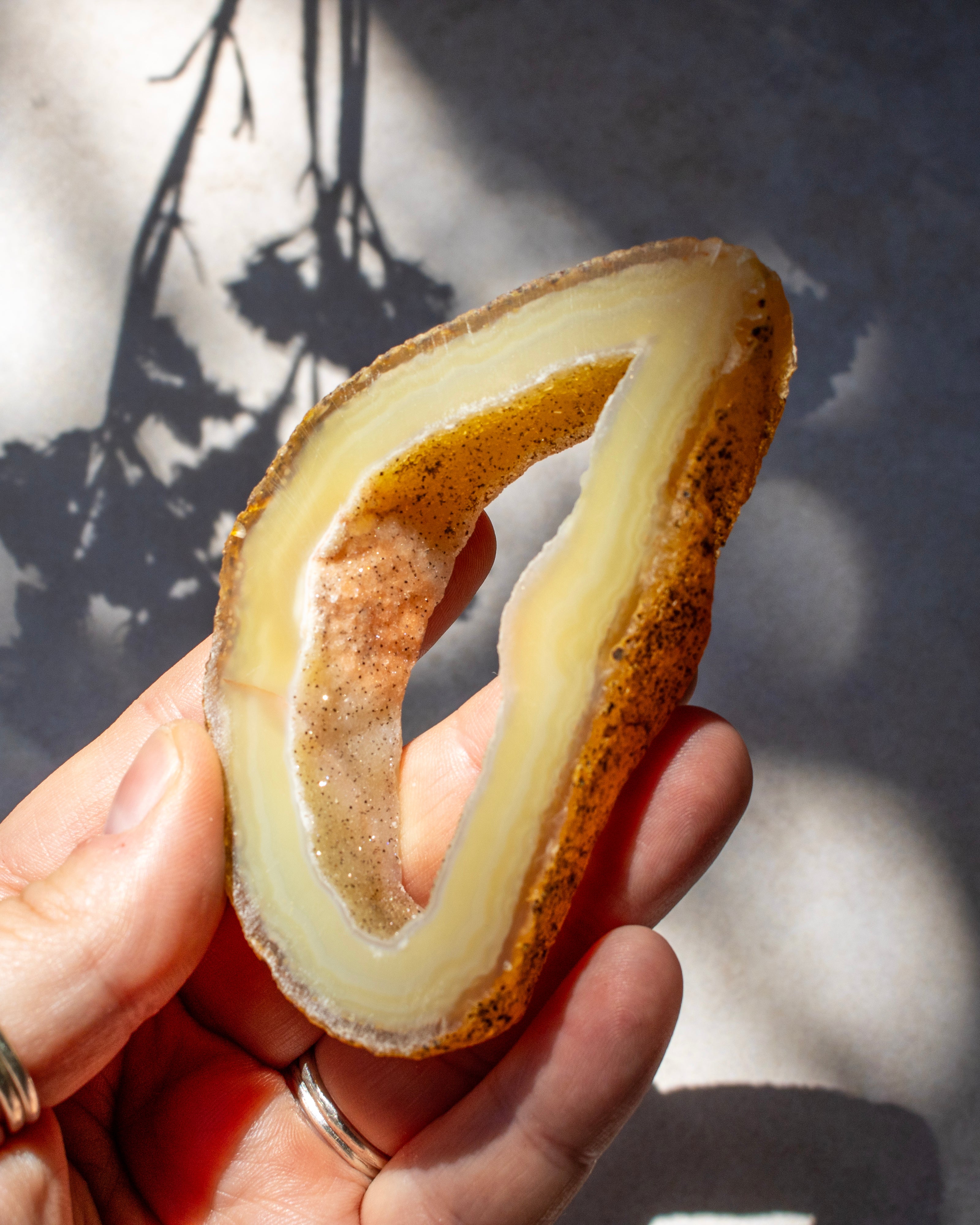 A hand holding a polished agate geode slice with creamy yellow inner cavities and a brown crystalline outer border, photographed against a sunlit gray wall with leaf shadows.
