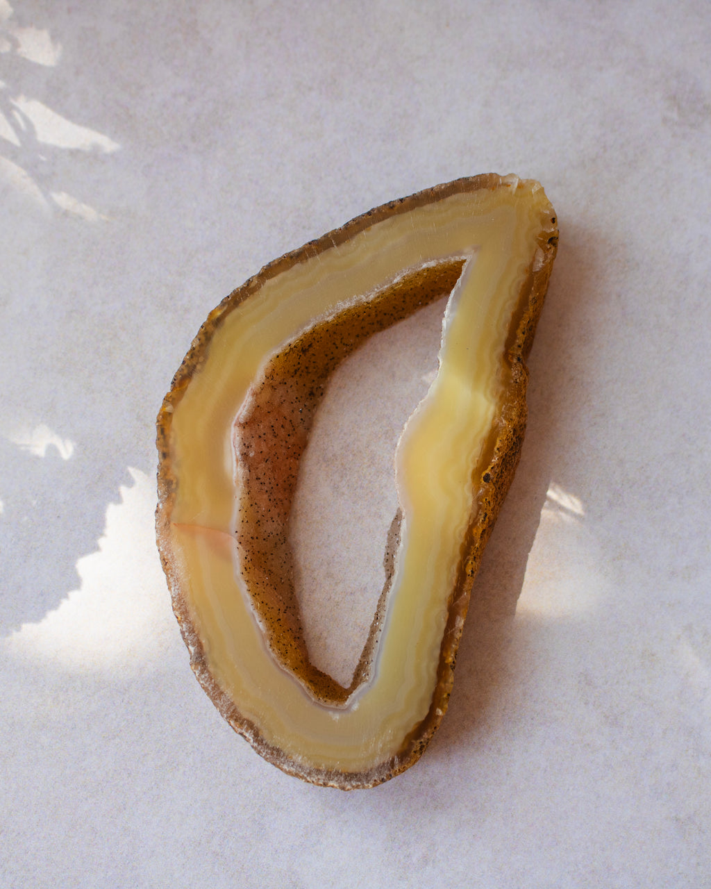 A polished slice of agate or jasper stone with concentric bands of cream, pale yellow, and brown, photographed on a light neutral surface.