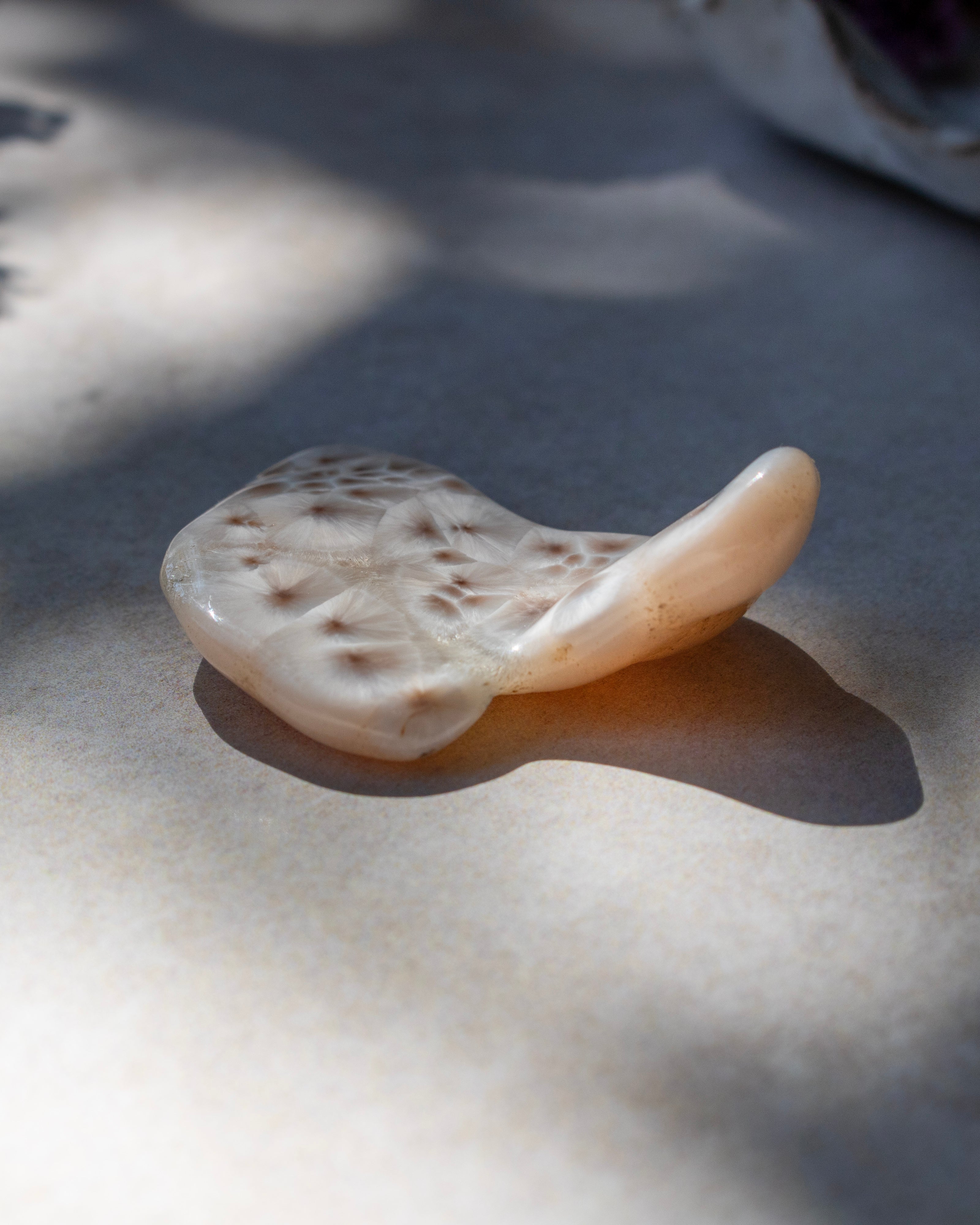 A small organic-shaped cream-colored stone or resin piece with brown speckles, resting on a light surface under dappled sunlight.