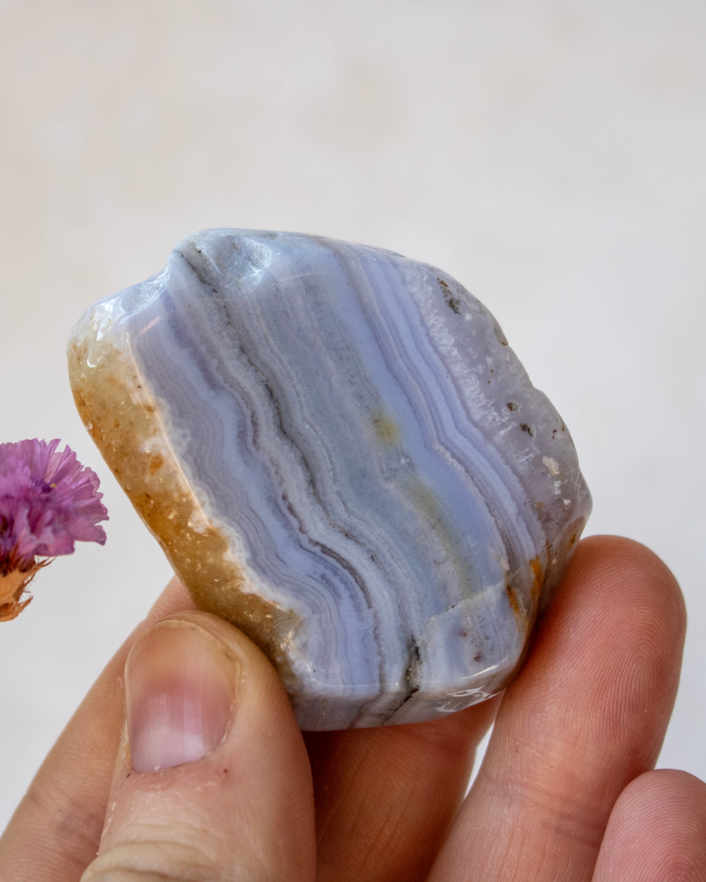A hand holding a polished natural agate stone with layered lavender, blue, and white bands, showing a rough tan crust on one side, against a light beige background.
