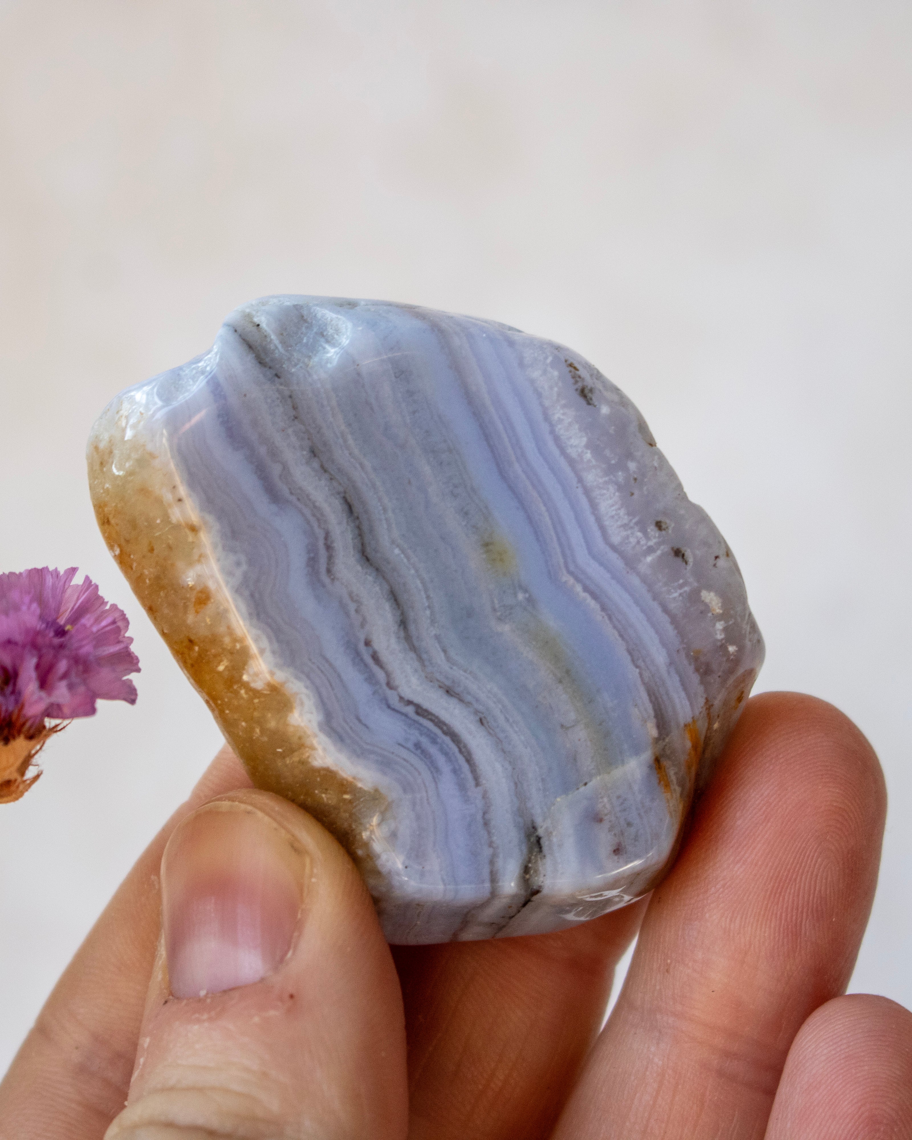 A hand holding a polished natural agate stone with layered lavender, blue, and white bands, showing a rough tan crust on one side, against a light beige background.