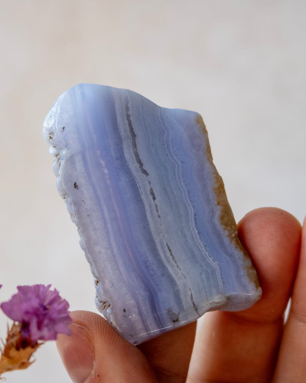 A hand holding a polished lavender-blue agate crystal with natural banding and a rough, uncut raw-edge shape, set against a soft beige background with a small purple flower in the corner.