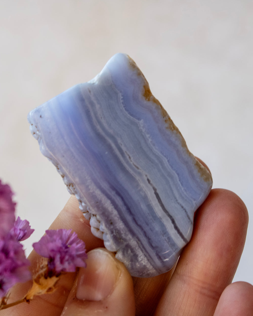 A hand holding a polished lavender-blue agate crystal slab with natural banding and a small piece of brown matrix, with tiny purple flowers in the foreground against a soft beige background.