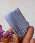 A hand holding a polished lavender-blue agate crystal slab with natural banding and a small piece of brown matrix, with tiny purple flowers in the foreground against a soft beige background.