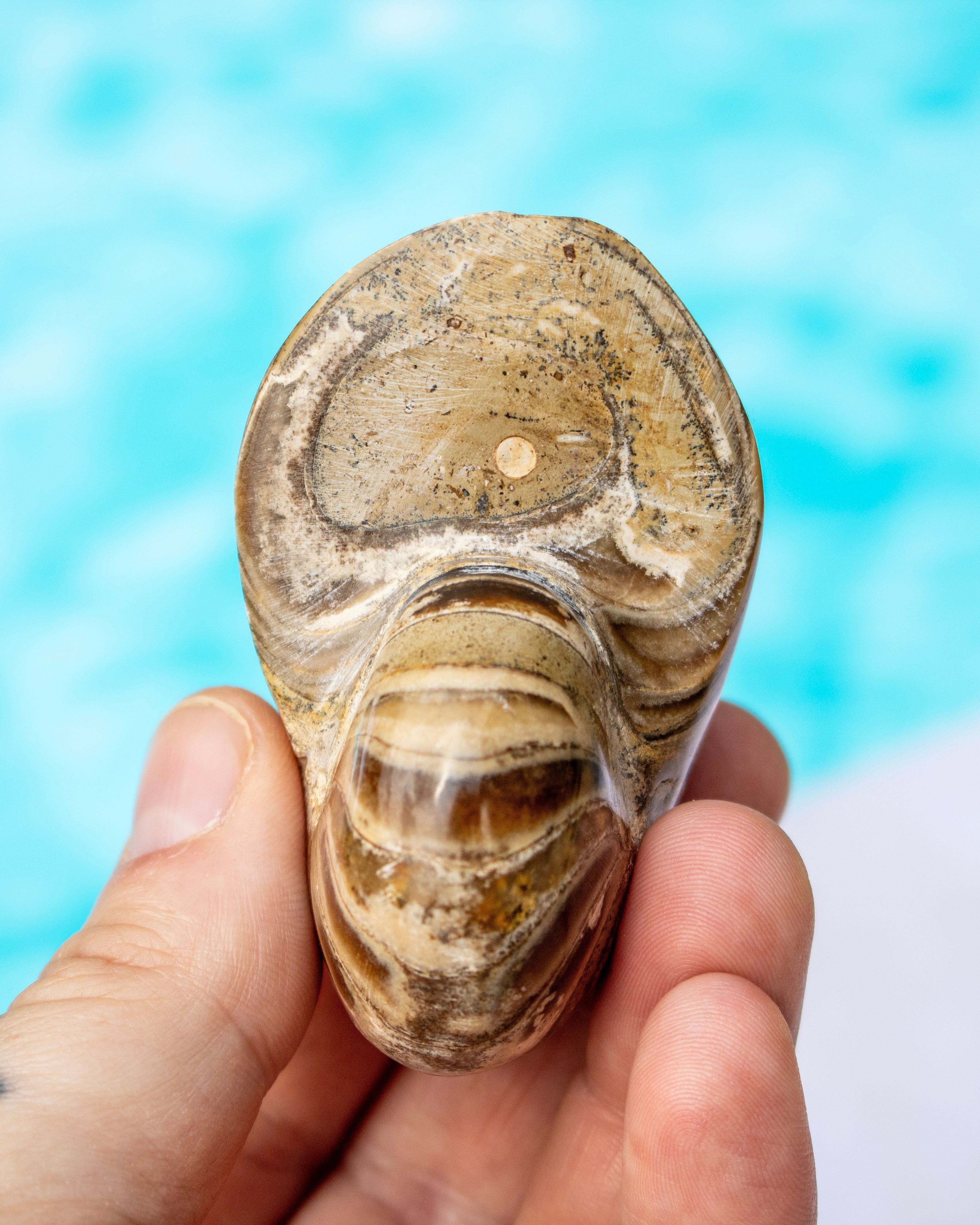 A hand holding a polished natural stone with concentric bands of beige, brown, and cream, set against a blurred turquoise blue background.