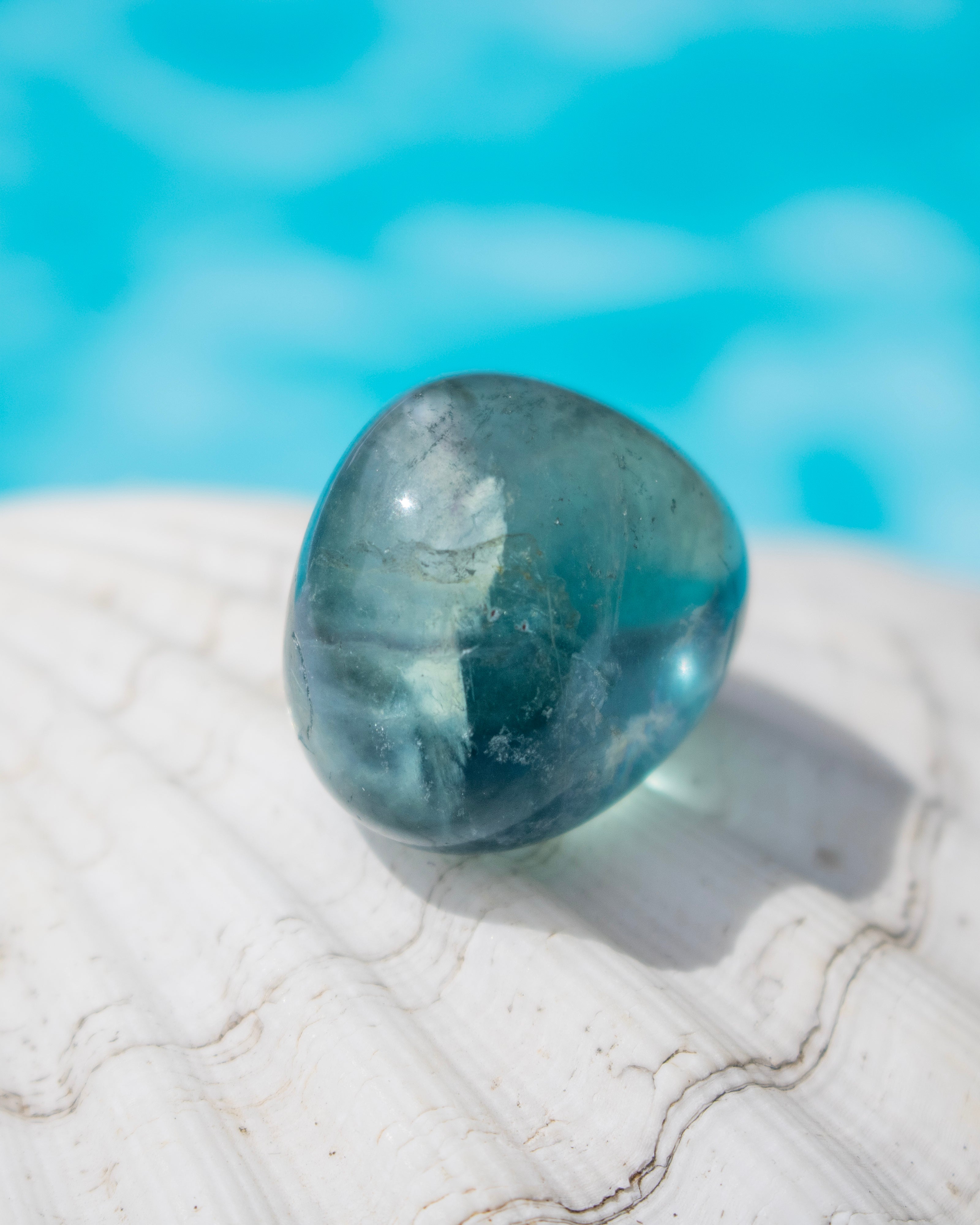 A polished teardrop-shaped blue gemstone resting on a white seashell with a blurred turquoise water background.