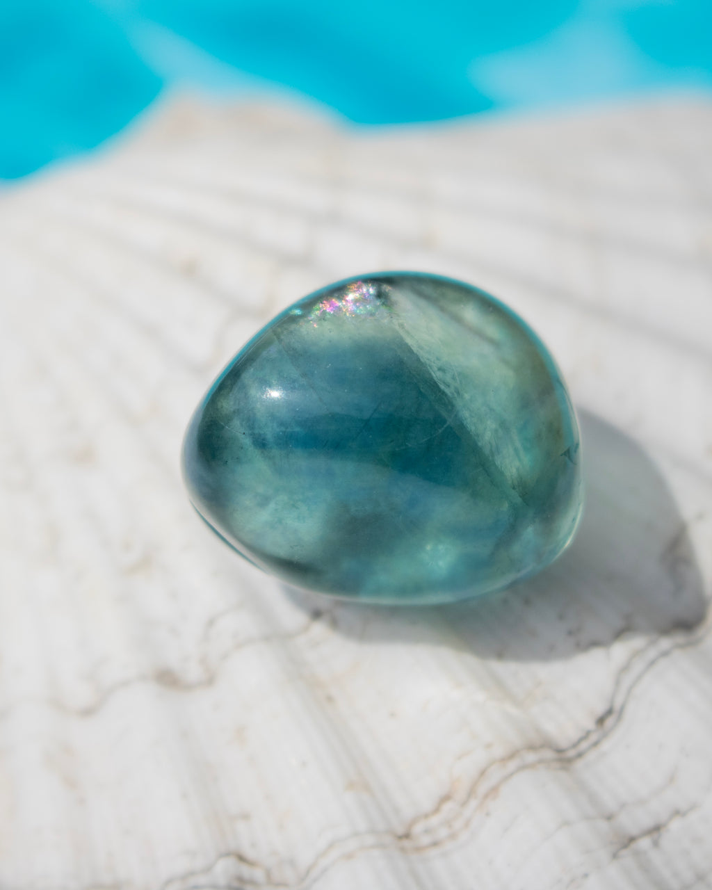 A polished blue teardrop-shaped gemstone, likely a labradorite, resting on a white seashell with a bright turquoise blue background.