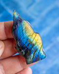 A raw labradorite crystal stone held in a person's hand, showcasing its natural color variation of blue, yellow, and gray with sparkly flecks, set against a textured blue background.