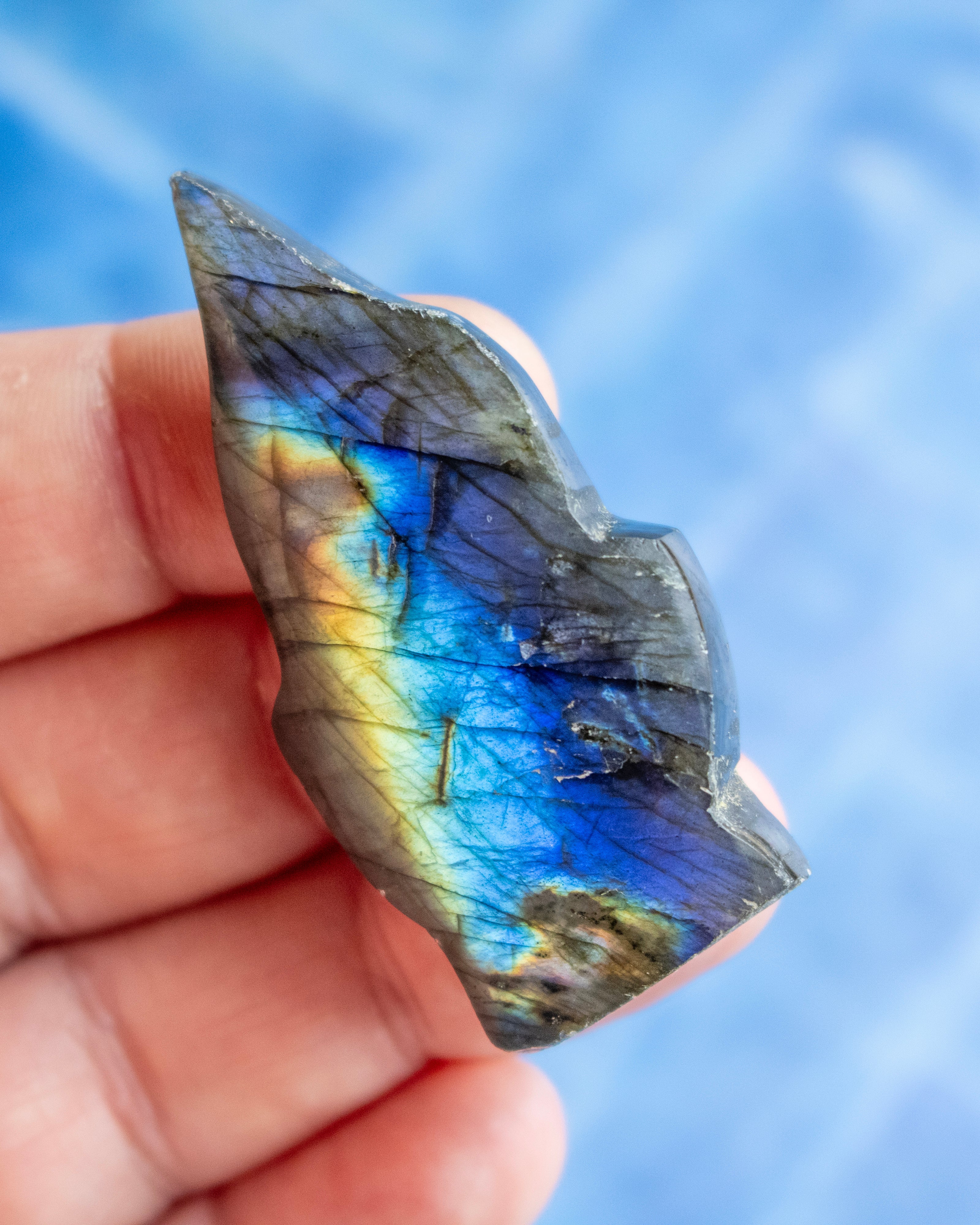 A hand holding a raw labradorite stone with vibrant blue, green, and gold flashes, set against a soft-focus blue background.