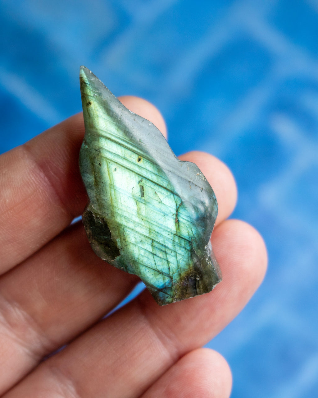 A raw, polished labradorite gemstone held in a person's hand, showcasing its characteristic green and blue iridescent flashes against a blurred blue background.