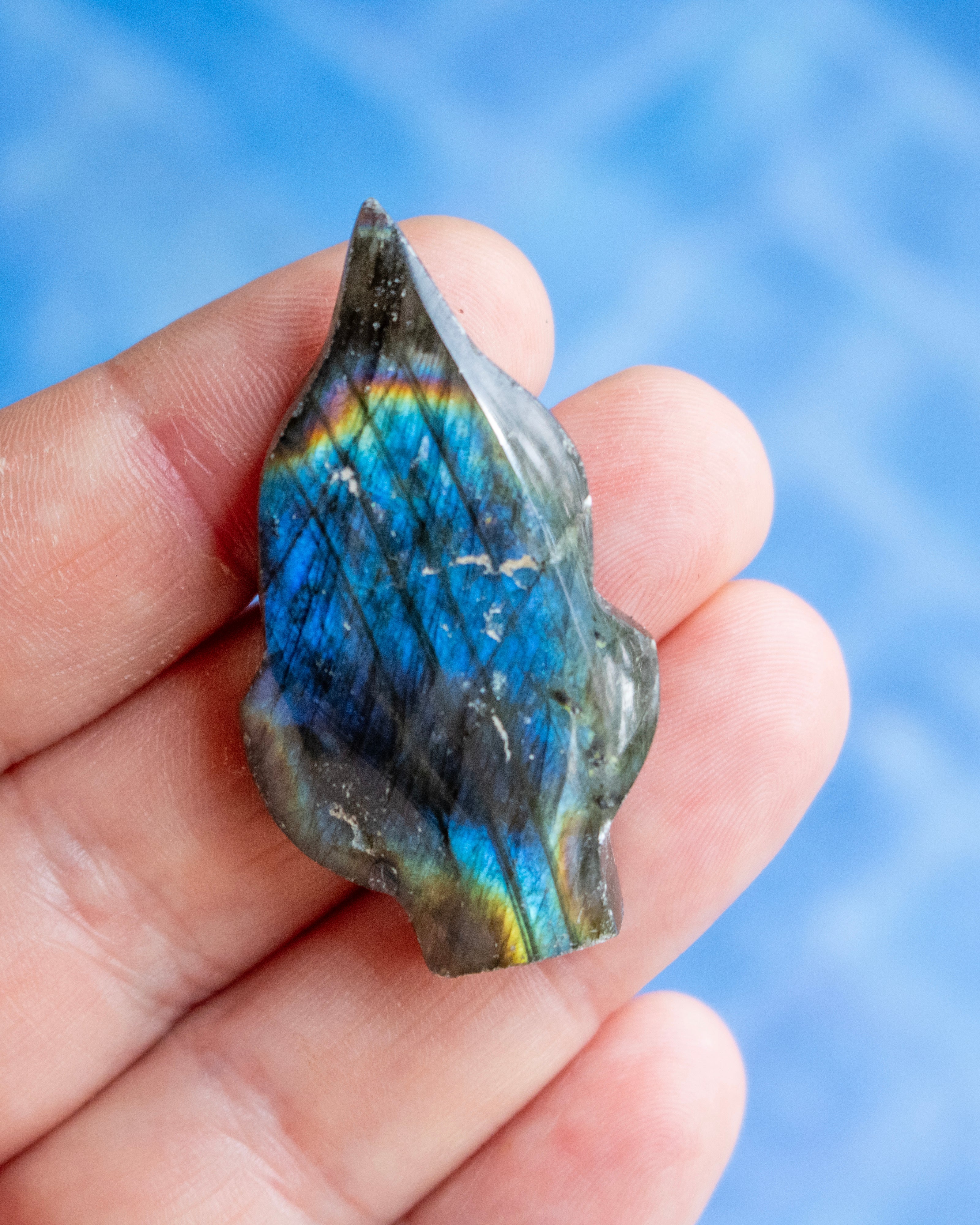 A raw, polished labradorite stone chip held in a person's hand, showcasing its vibrant blue and green iridescent flashes and natural gray edges against a soft blue background.