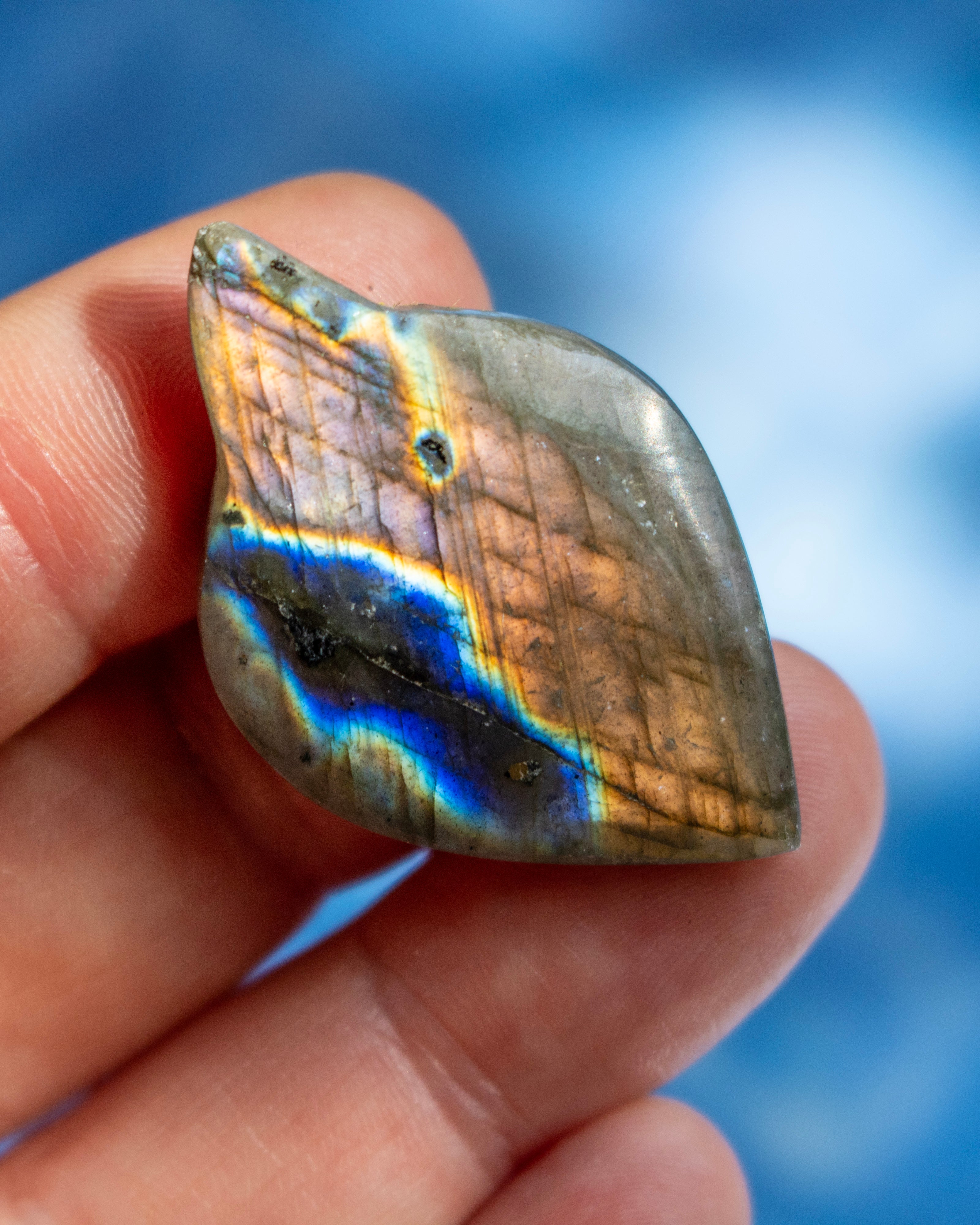 A polished labradorite stone held in a person's hand, showing a natural color play with blue, gold, and brown tones against a soft blue blurred background.