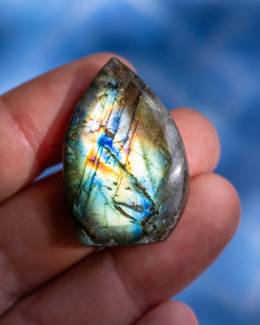 A polished teardrop-shaped labradorite stone held in a person's hand, showing a shimmering iridescent surface with blue, gold, and green flashes against a blurred blue background.