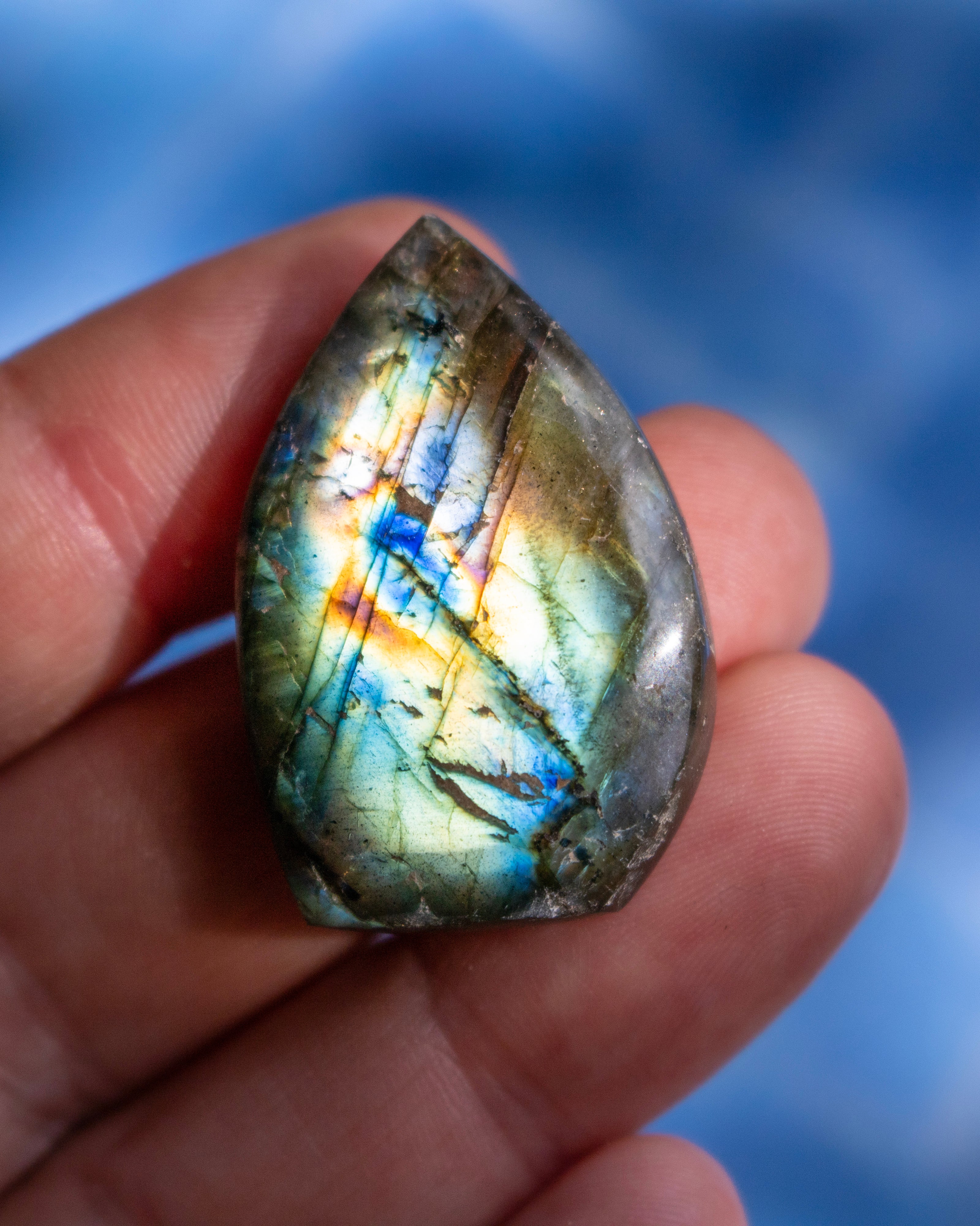 A polished teardrop-shaped labradorite stone held in a person's hand, showing a shimmering iridescent surface with blue, gold, and green flashes against a blurred blue background.
