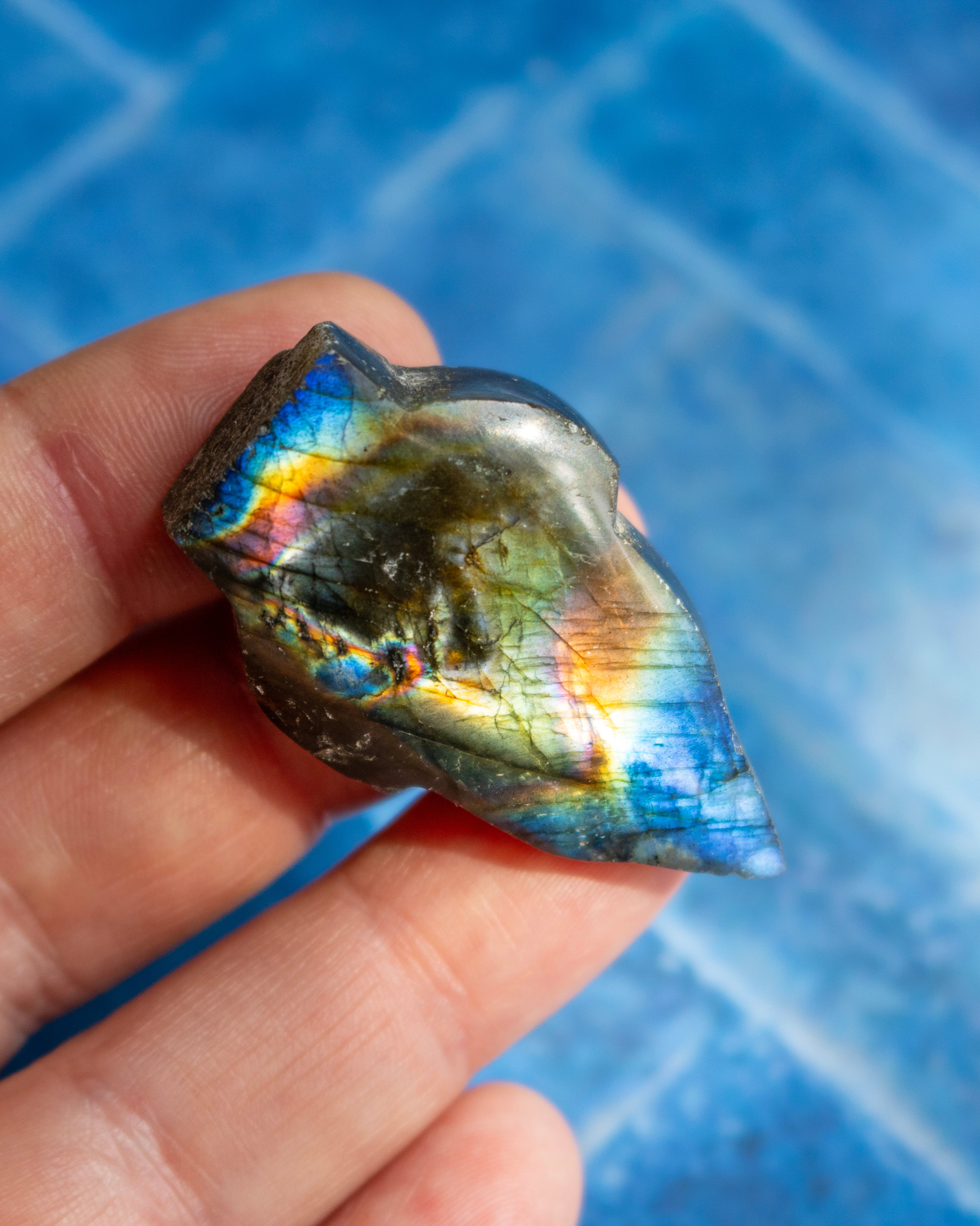 A hand holding a polished labradorite stone showing vibrant iridescent rainbow flashes, set against a blue tiled background.