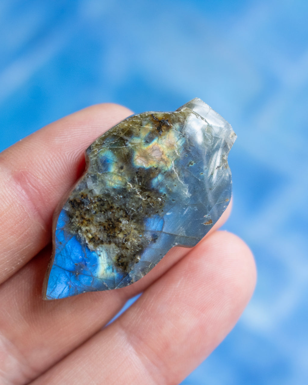 A hand holding a raw, polished labradorite stone showing its natural blue iridescence and dark matrix, set against a soft, out-of-focus blue background.