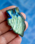A hand holding a polished labradorite stone chip showing its characteristic green and blue flashes, set against a blurred blue background.