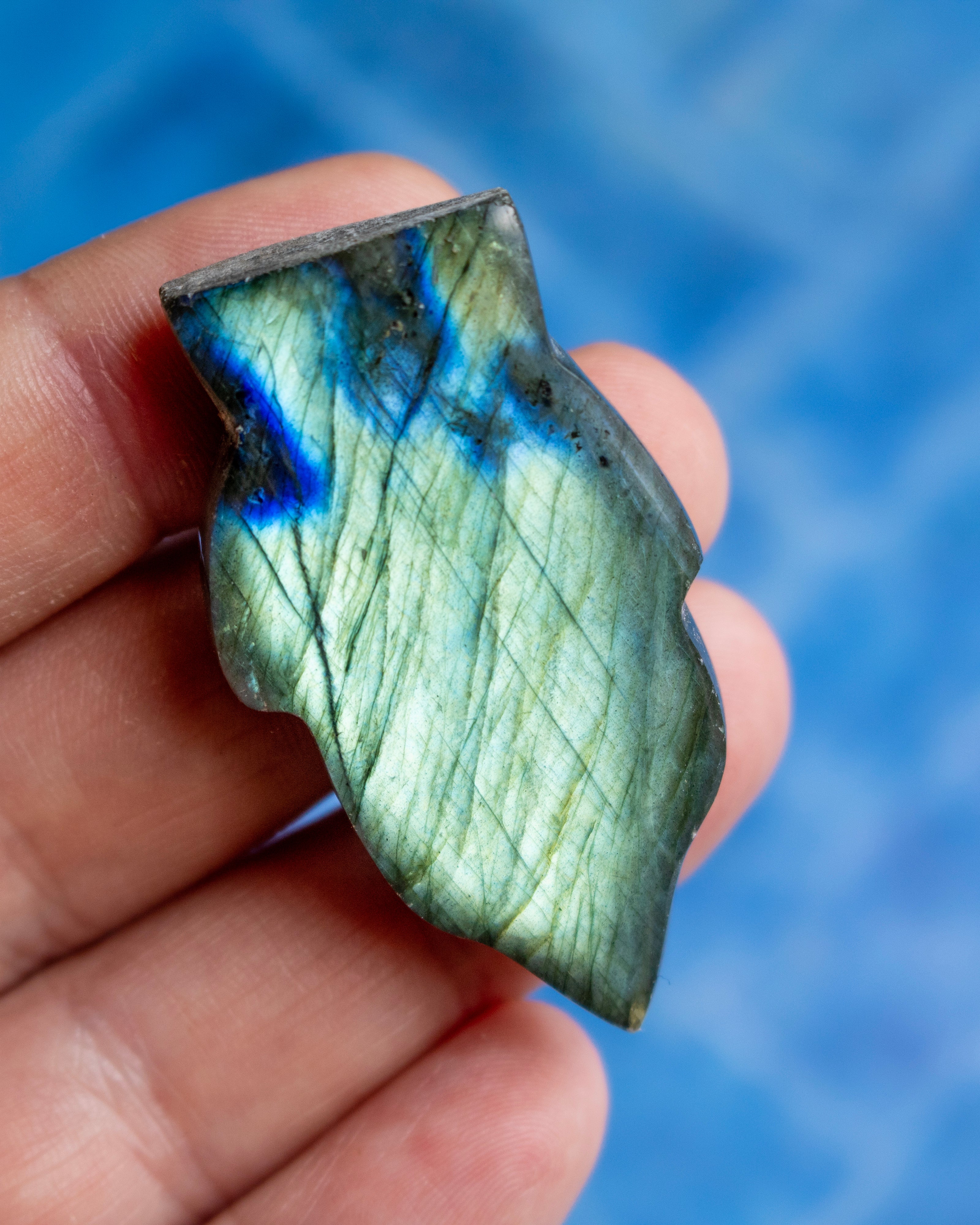 A hand holding a polished labradorite stone chip showing its characteristic green and blue flashes, set against a blurred blue background.